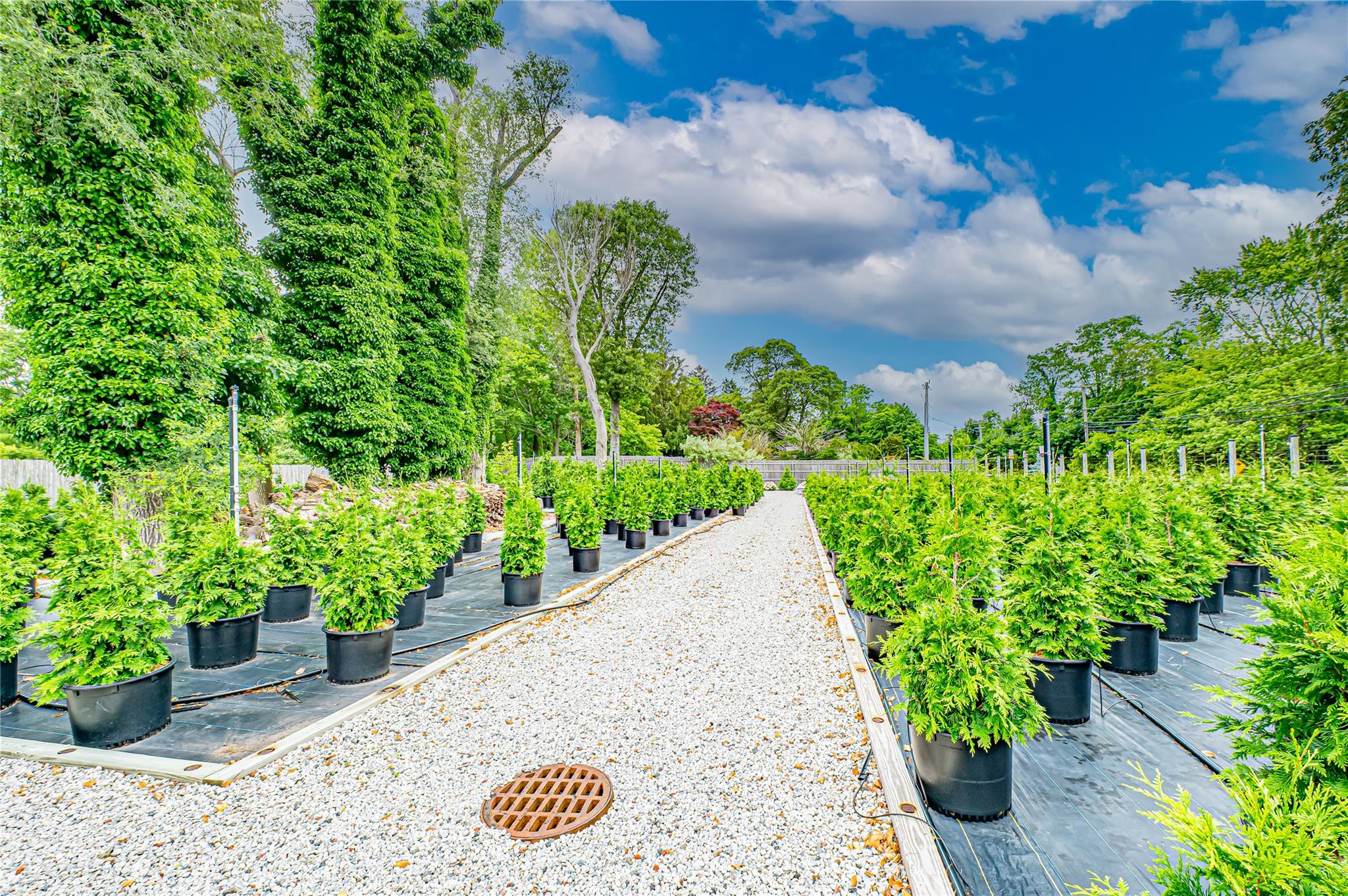 185-191 N Country Road Mount Sinai, NY 11766