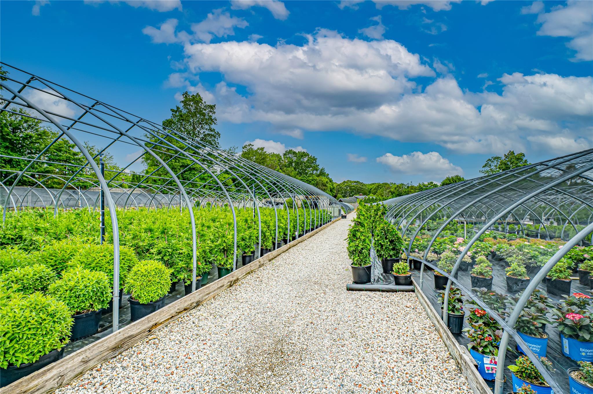 185-191 N Country Road Mount Sinai, NY 11766