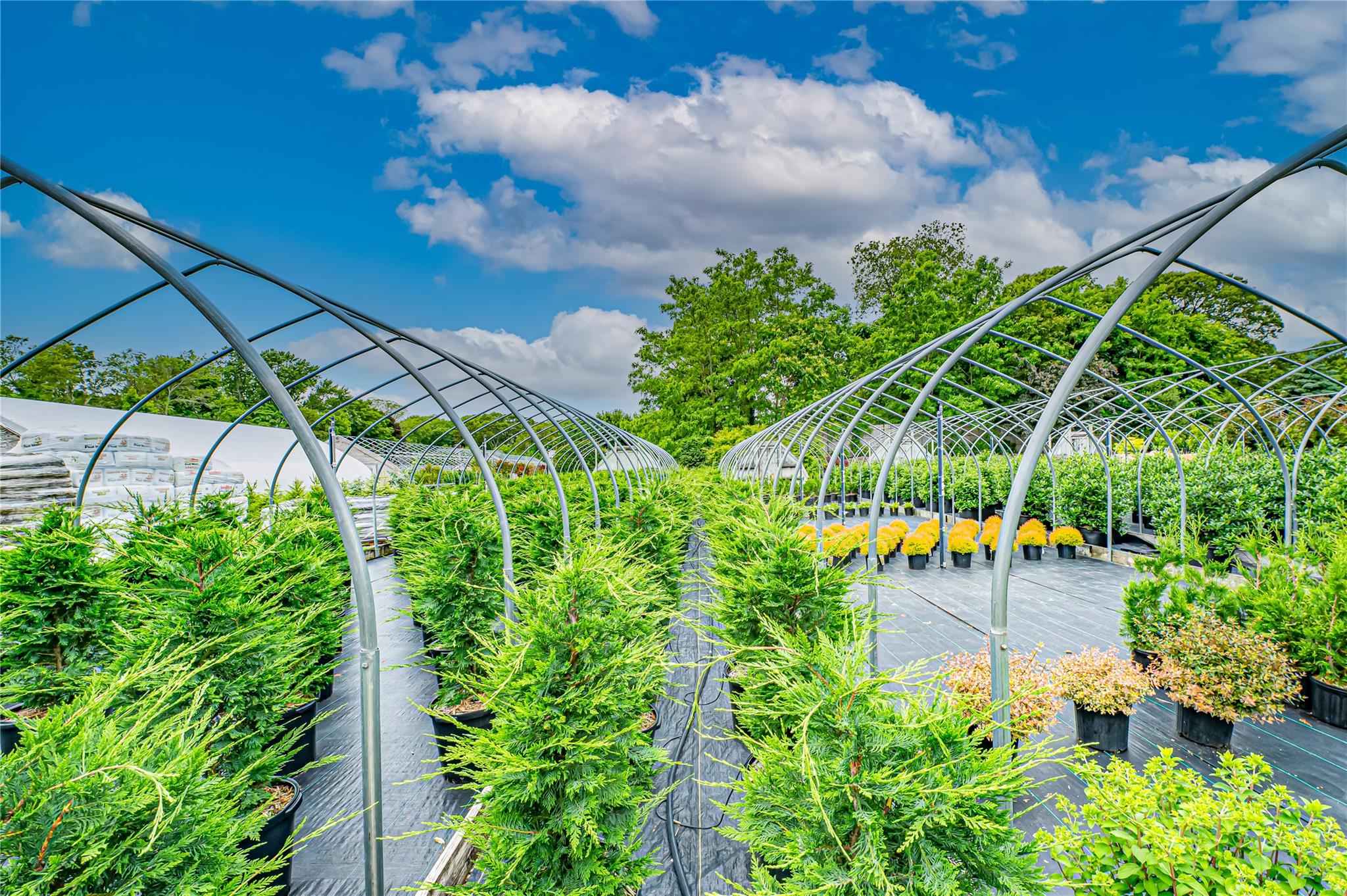 185-191 N Country Road Mount Sinai, NY 11766