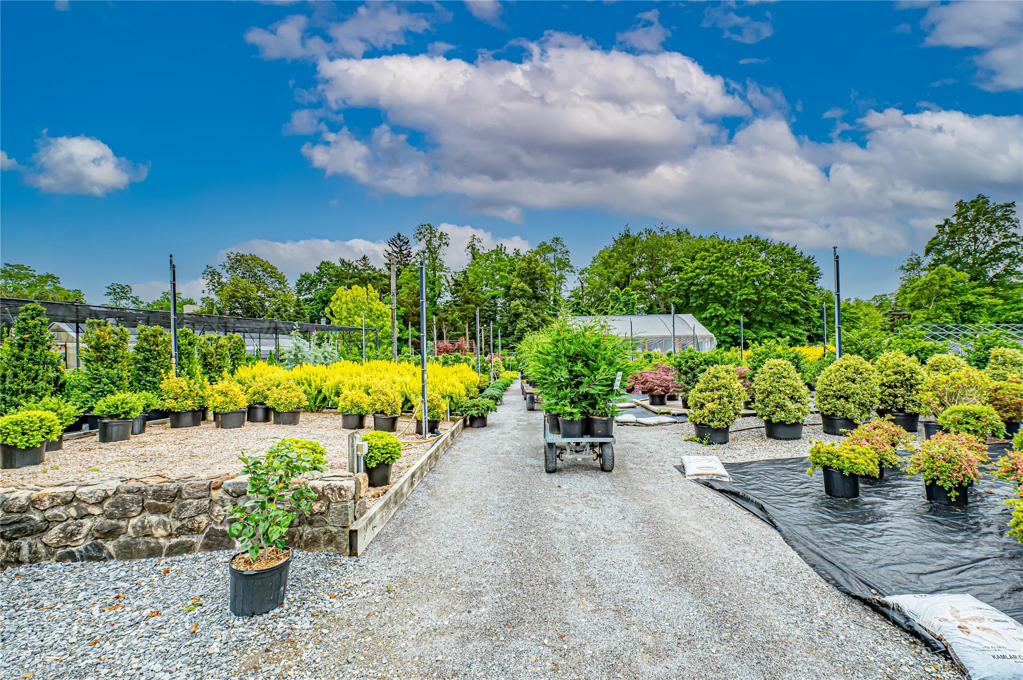 185-191 N Country Road Mount Sinai, NY 11766