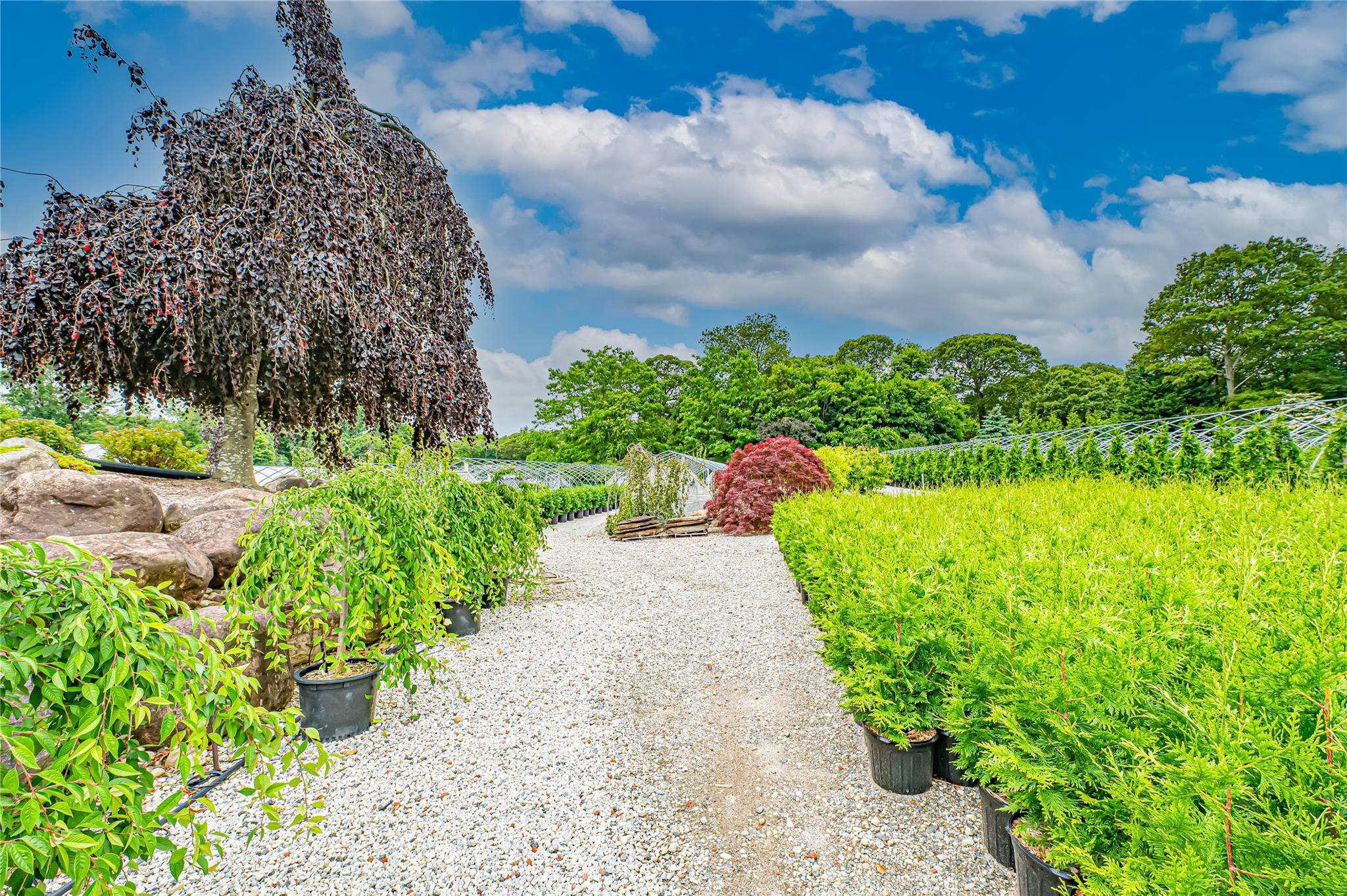 185-191 N Country Road Mount Sinai, NY 11766