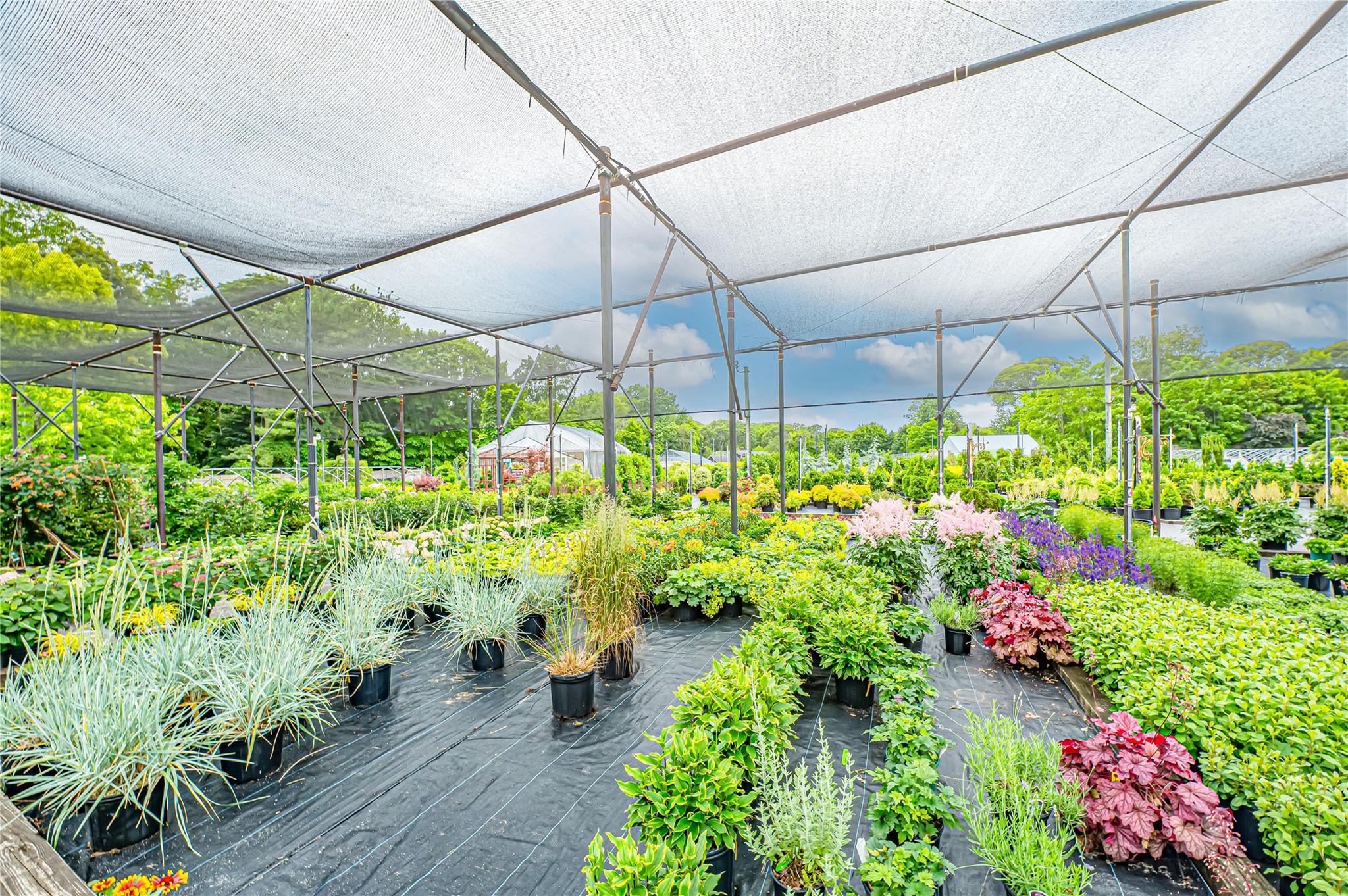 185-191 N Country Road Mount Sinai, NY 11766