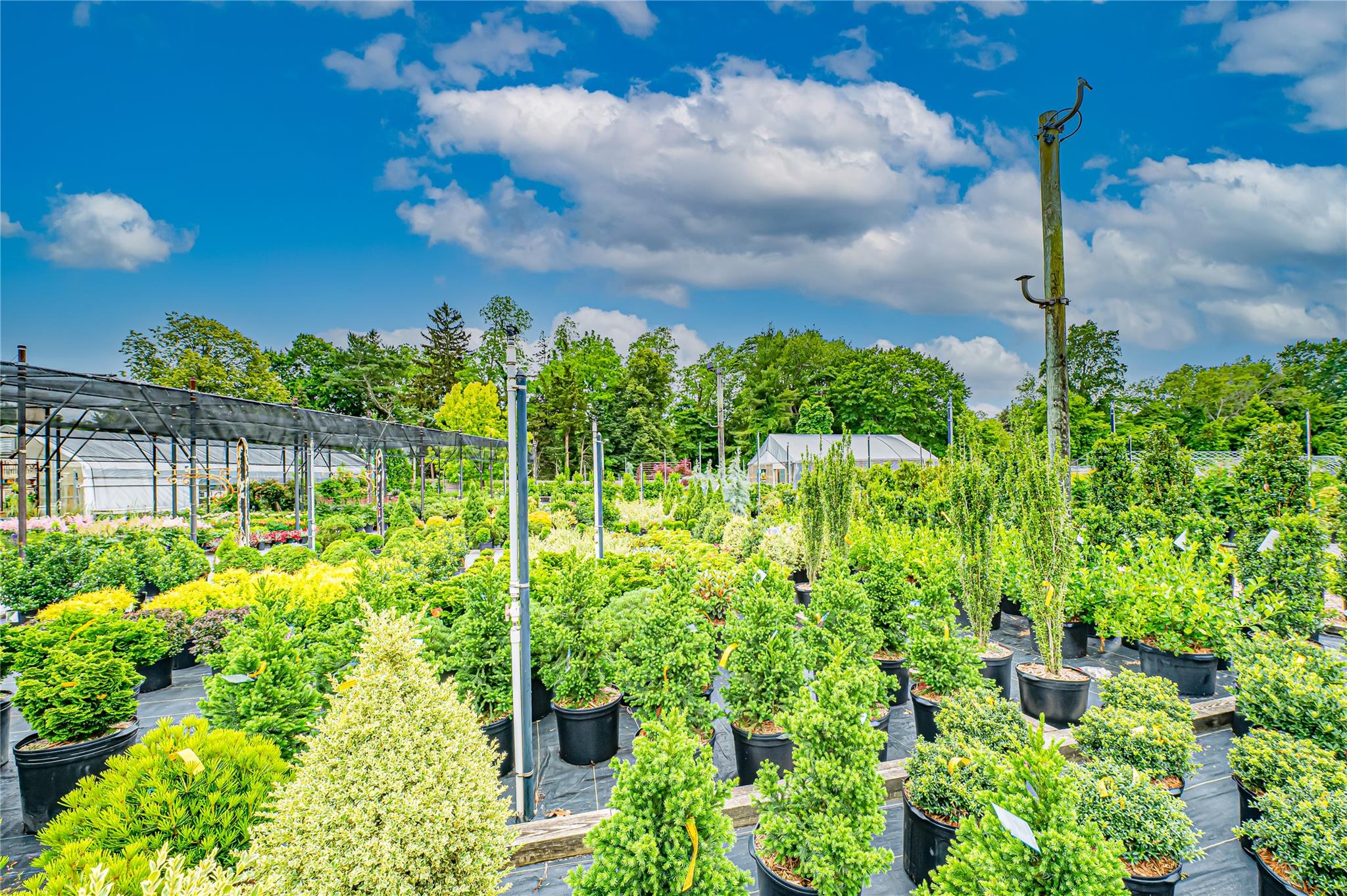 185-191 N Country Road Mount Sinai, NY 11766