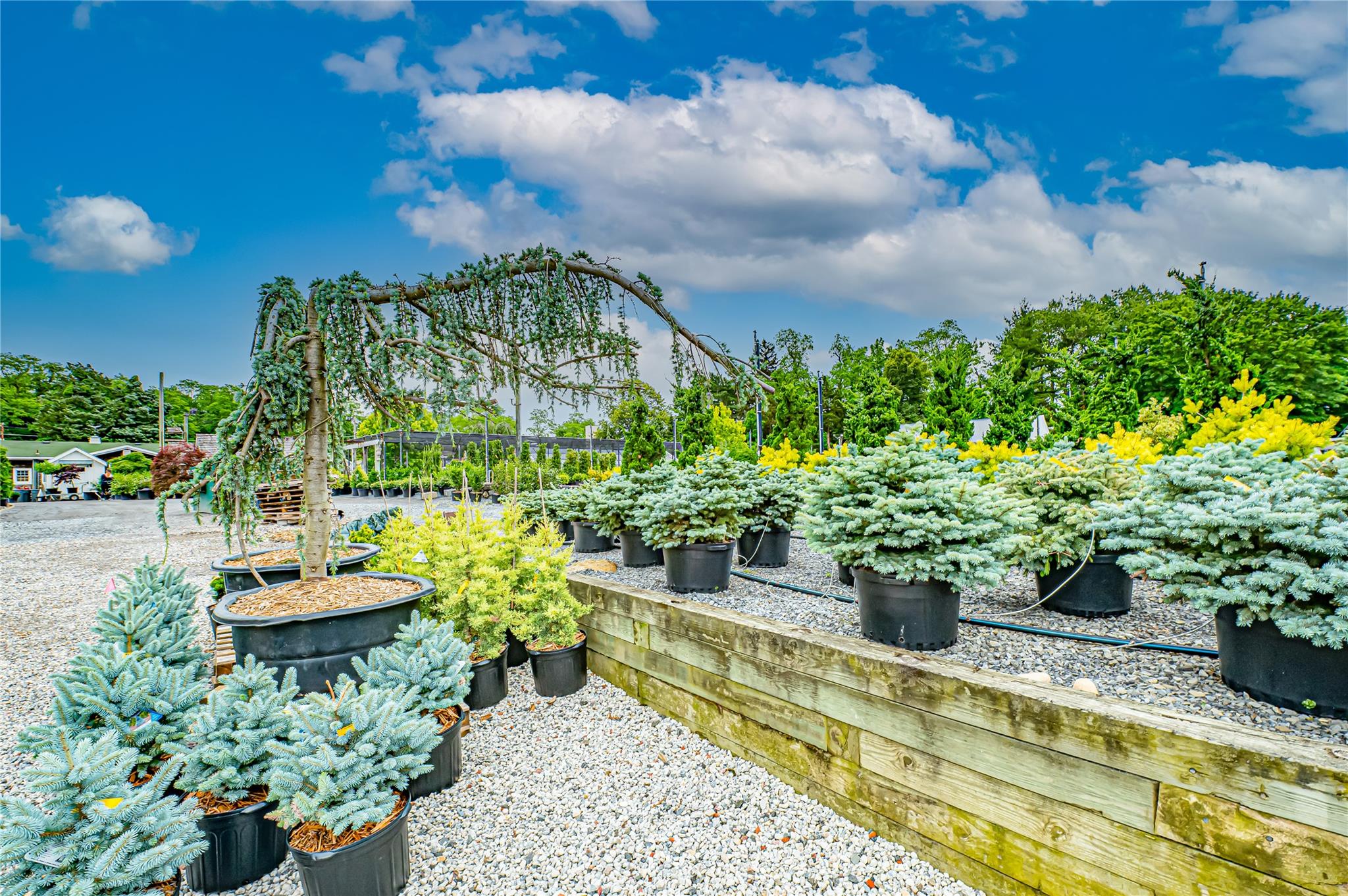 185-191 N Country Road Mount Sinai, NY 11766