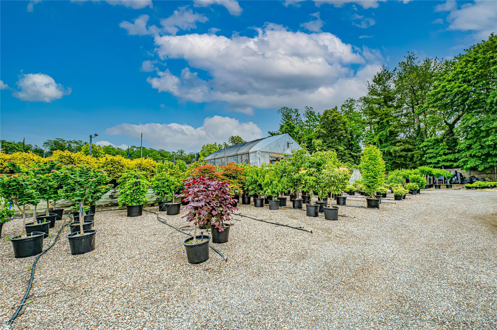 185-191 N Country Road Mount Sinai, NY 11766