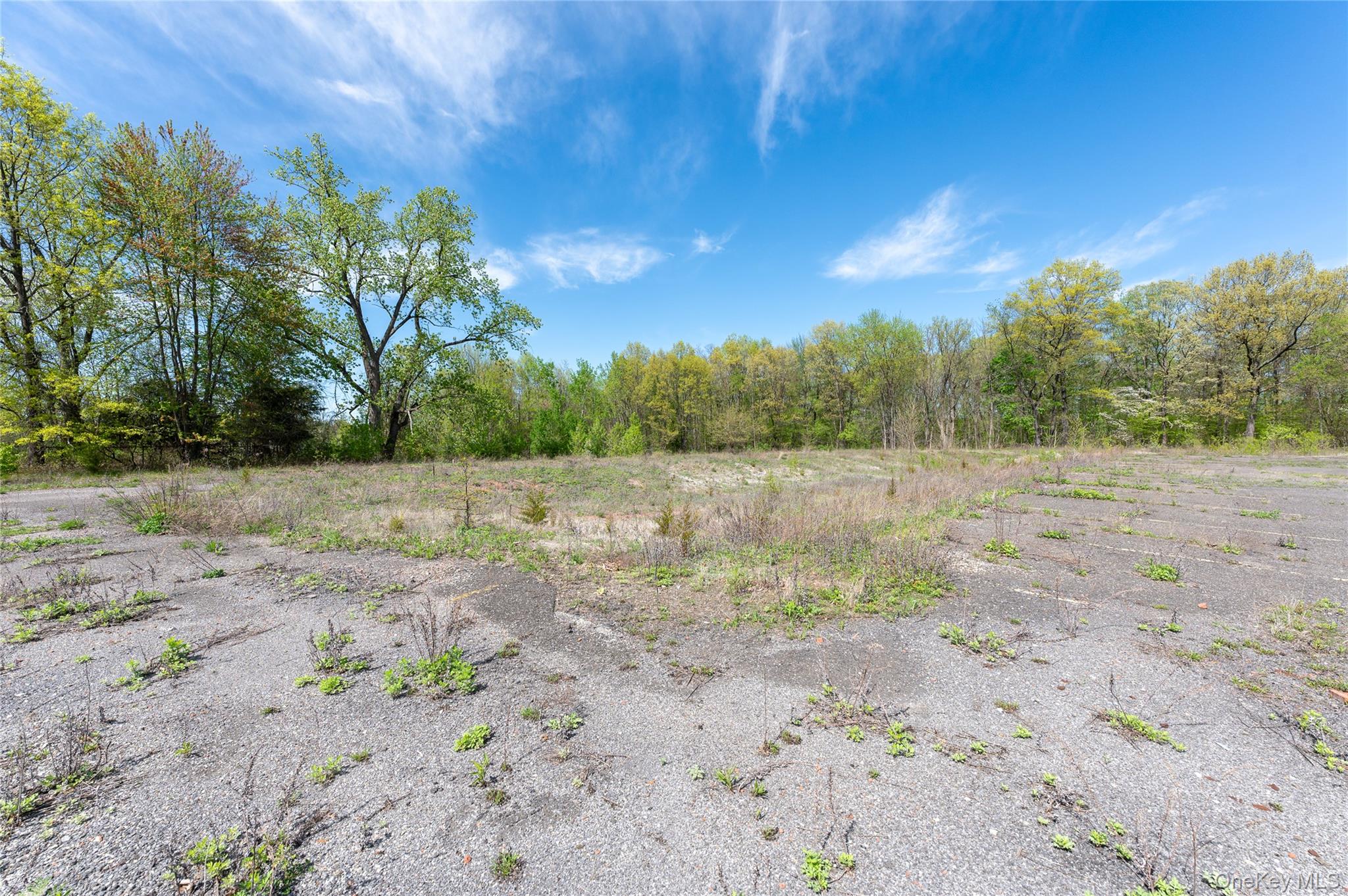 403 Main Street Out of NYC New Paltz, NY 12561