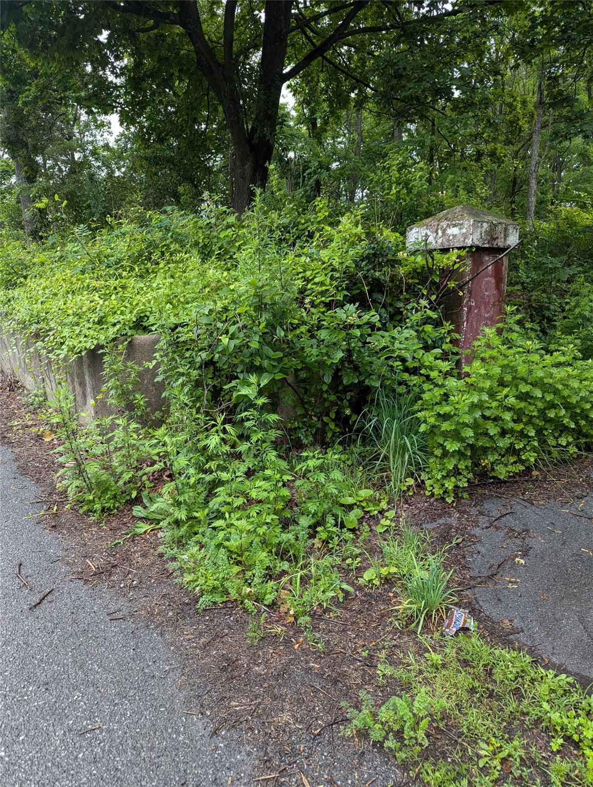 Cauterskill Out of NYC Catskill, NY 12414