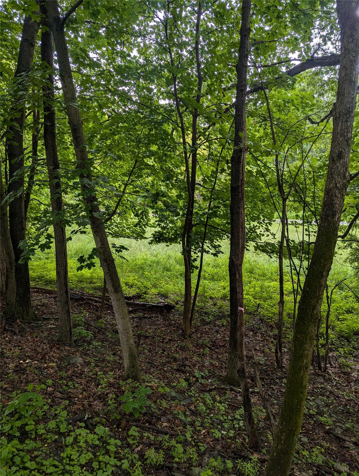 Cauterskill Out of NYC Catskill, NY 12414