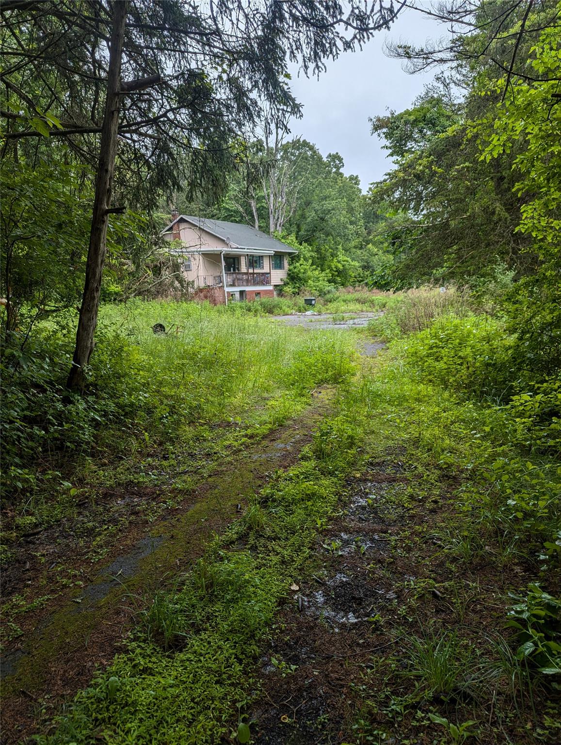 Cauterskill Out of NYC Catskill, NY 12414