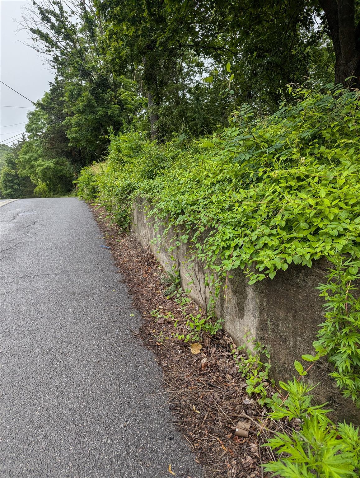 Cauterskill Out of NYC Catskill, NY 12414