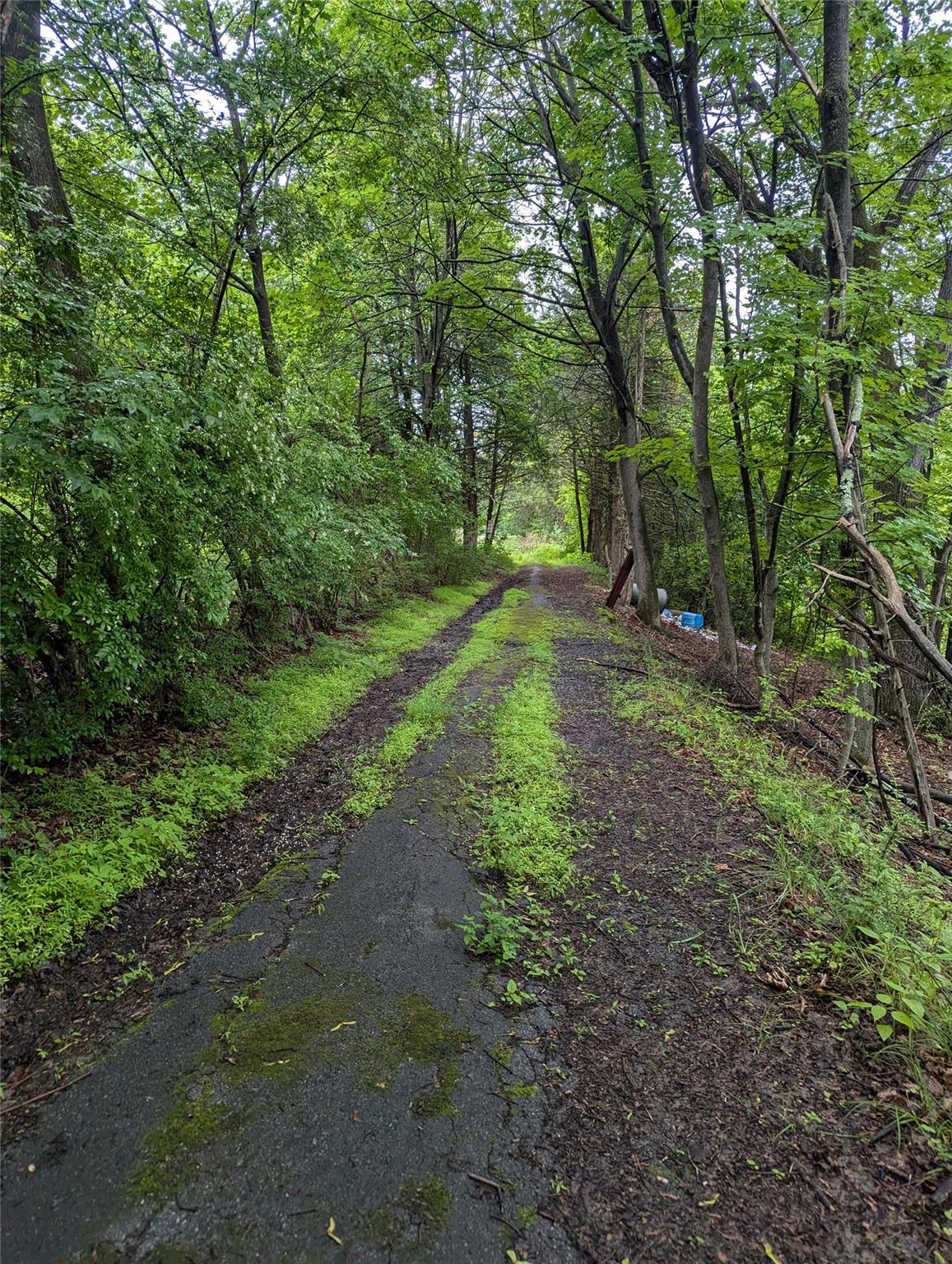 Cauterskill Out of NYC Catskill, NY 12414