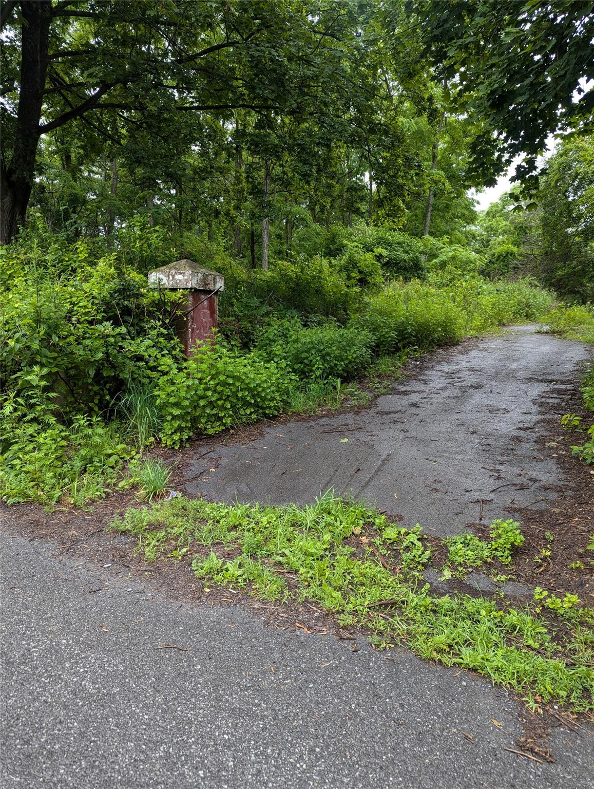 Cauterskill Out of NYC Catskill, NY 12414