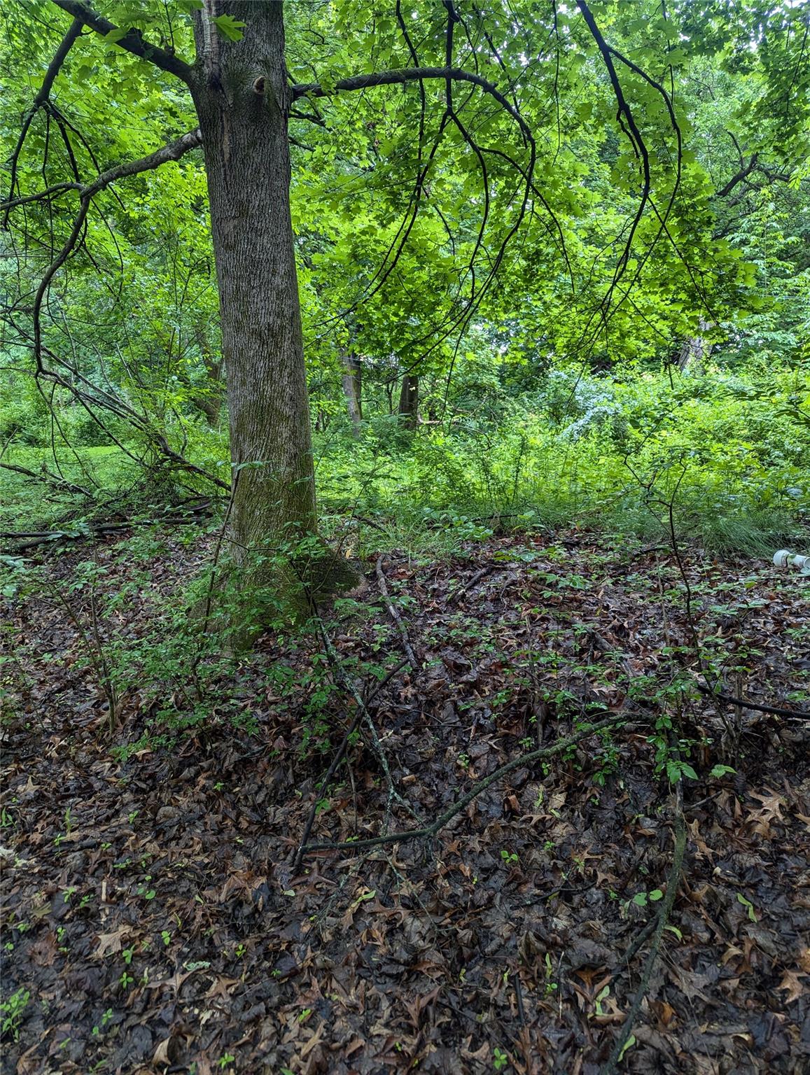 Cauterskill Out of NYC Catskill, NY 12414