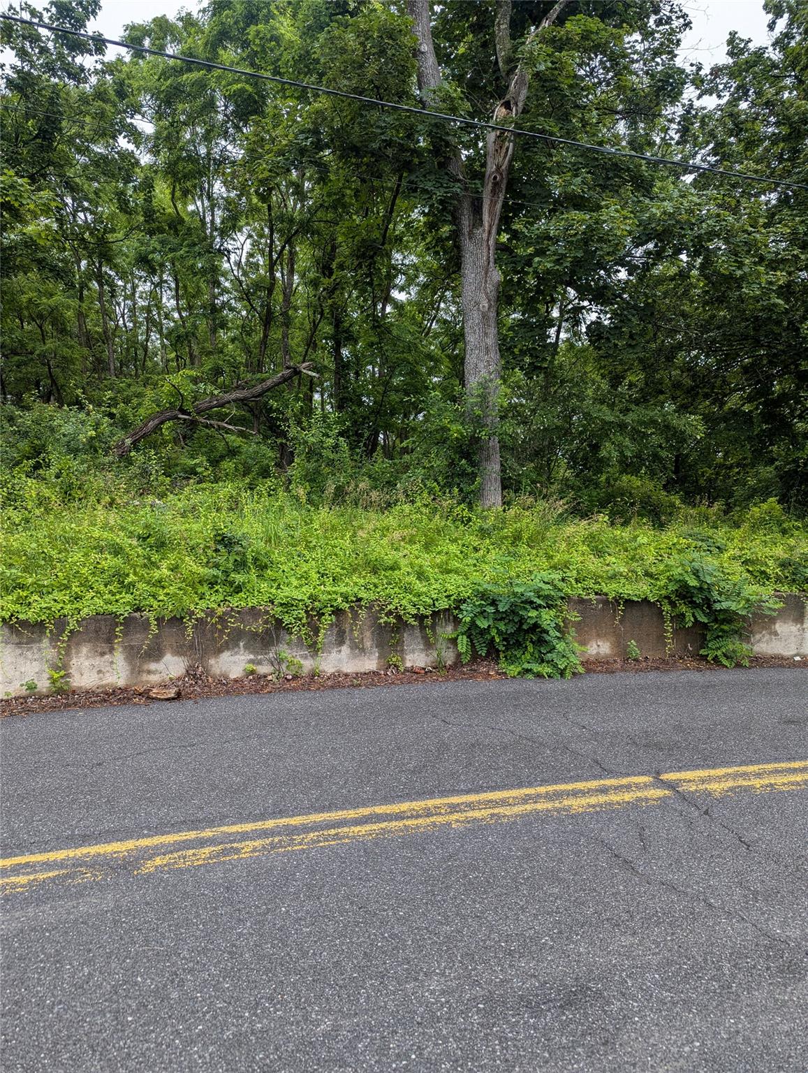 Cauterskill Out of NYC Catskill, NY 12414