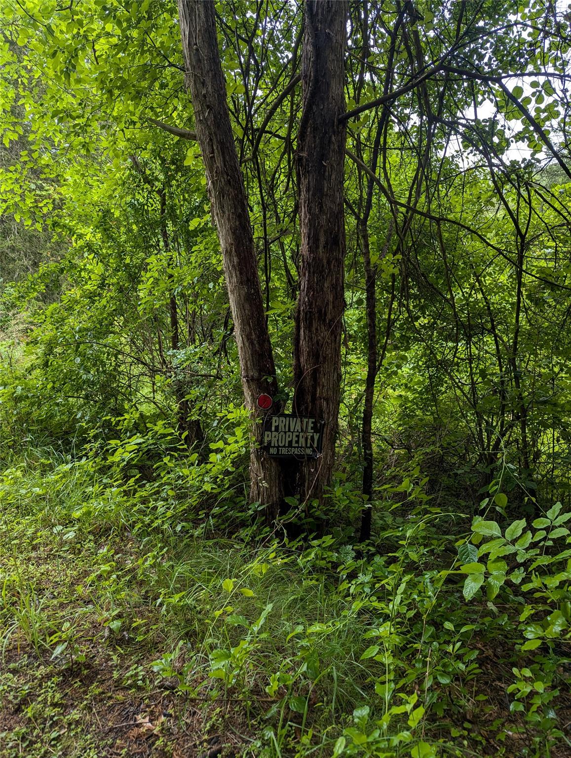 Cauterskill Out of NYC Catskill, NY 12414