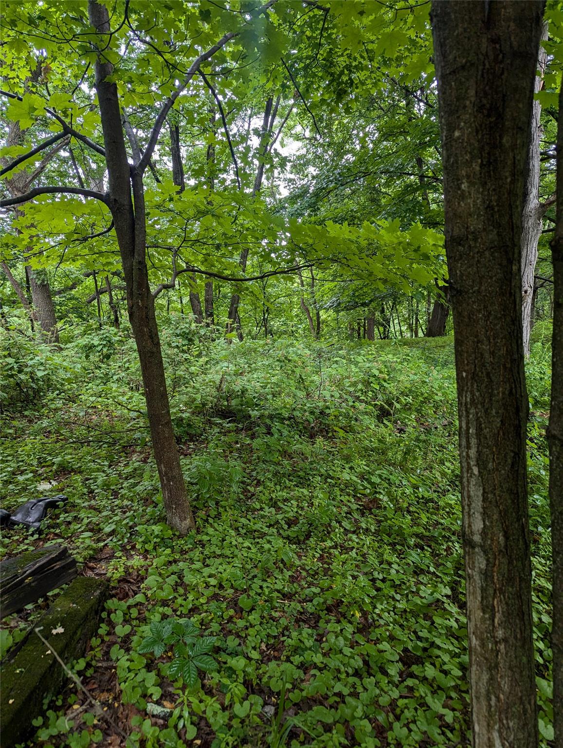 Cauterskill Out of NYC Catskill, NY 12414