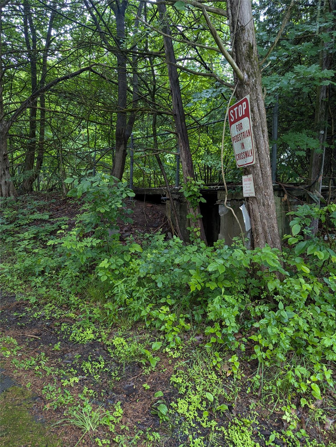 Cauterskill Out of NYC Catskill, NY 12414