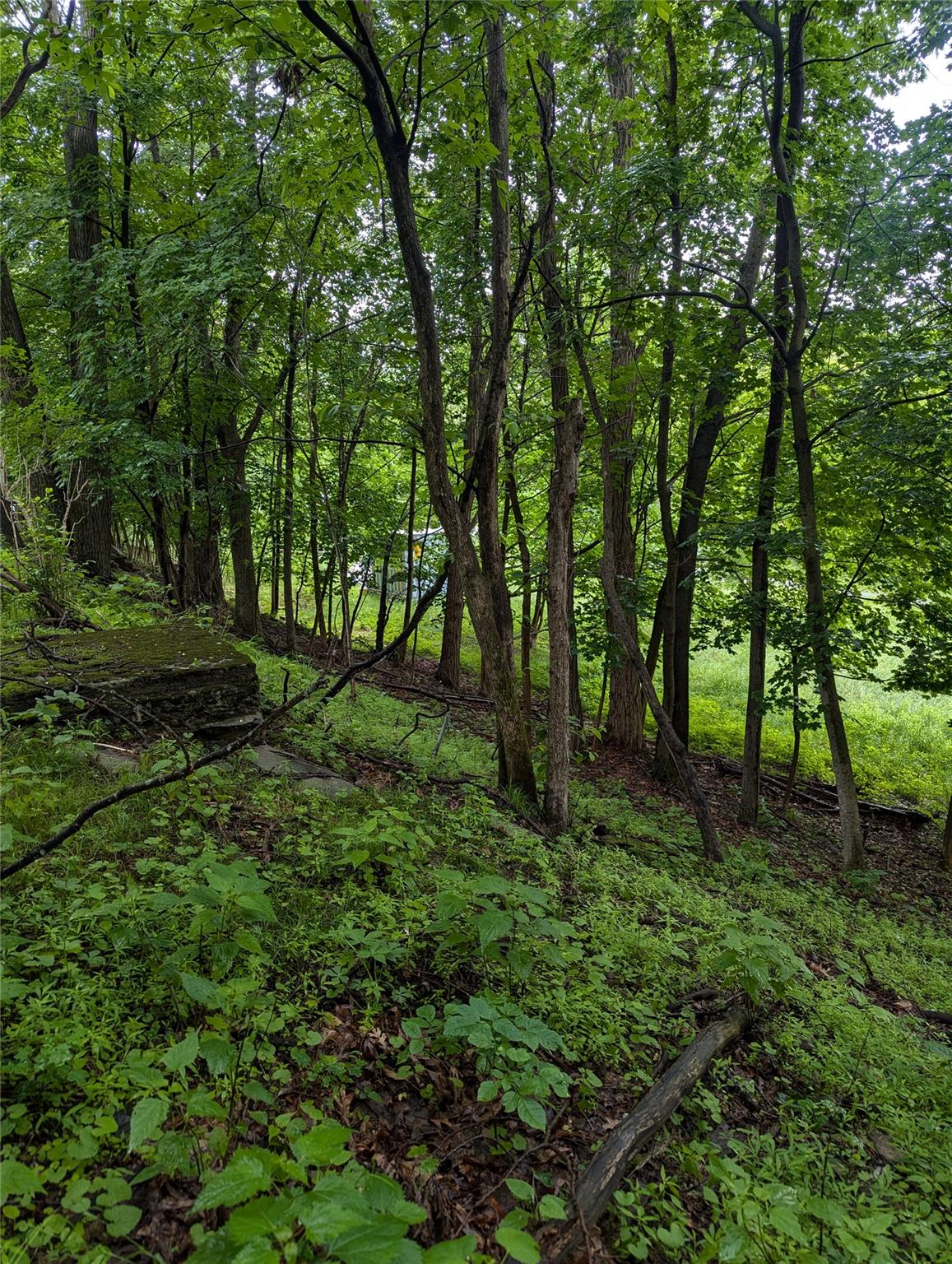 Cauterskill Out of NYC Catskill, NY 12414