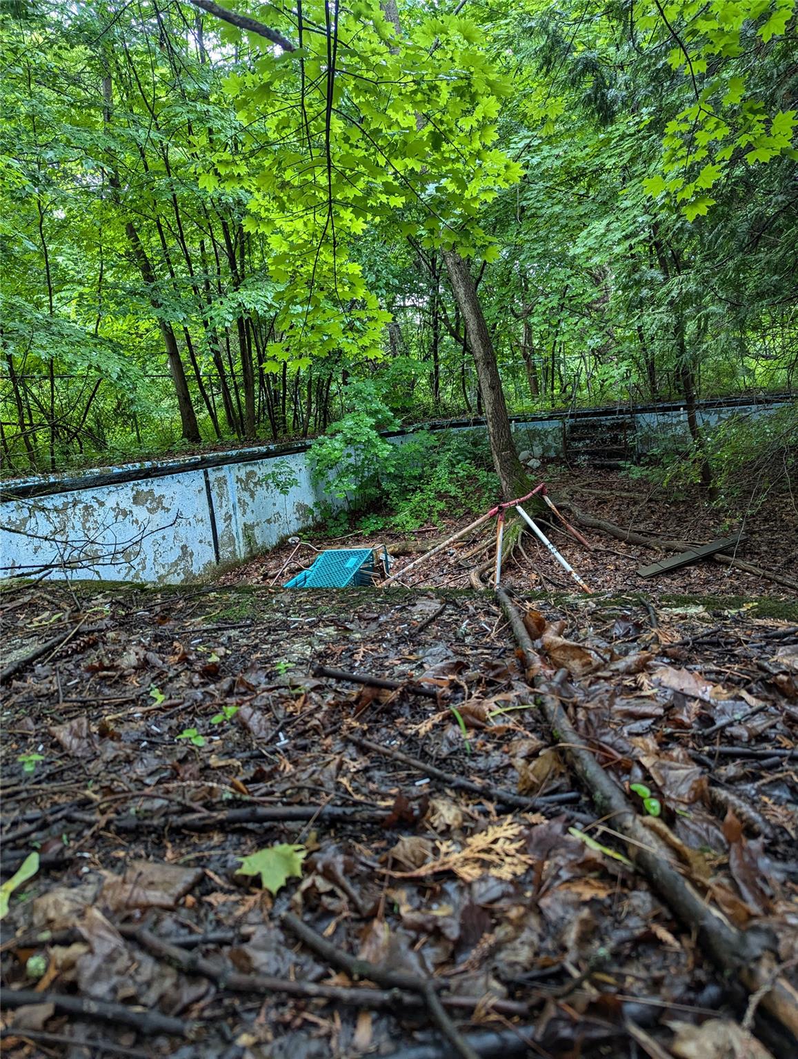 Cauterskill Out of NYC Catskill, NY 12414