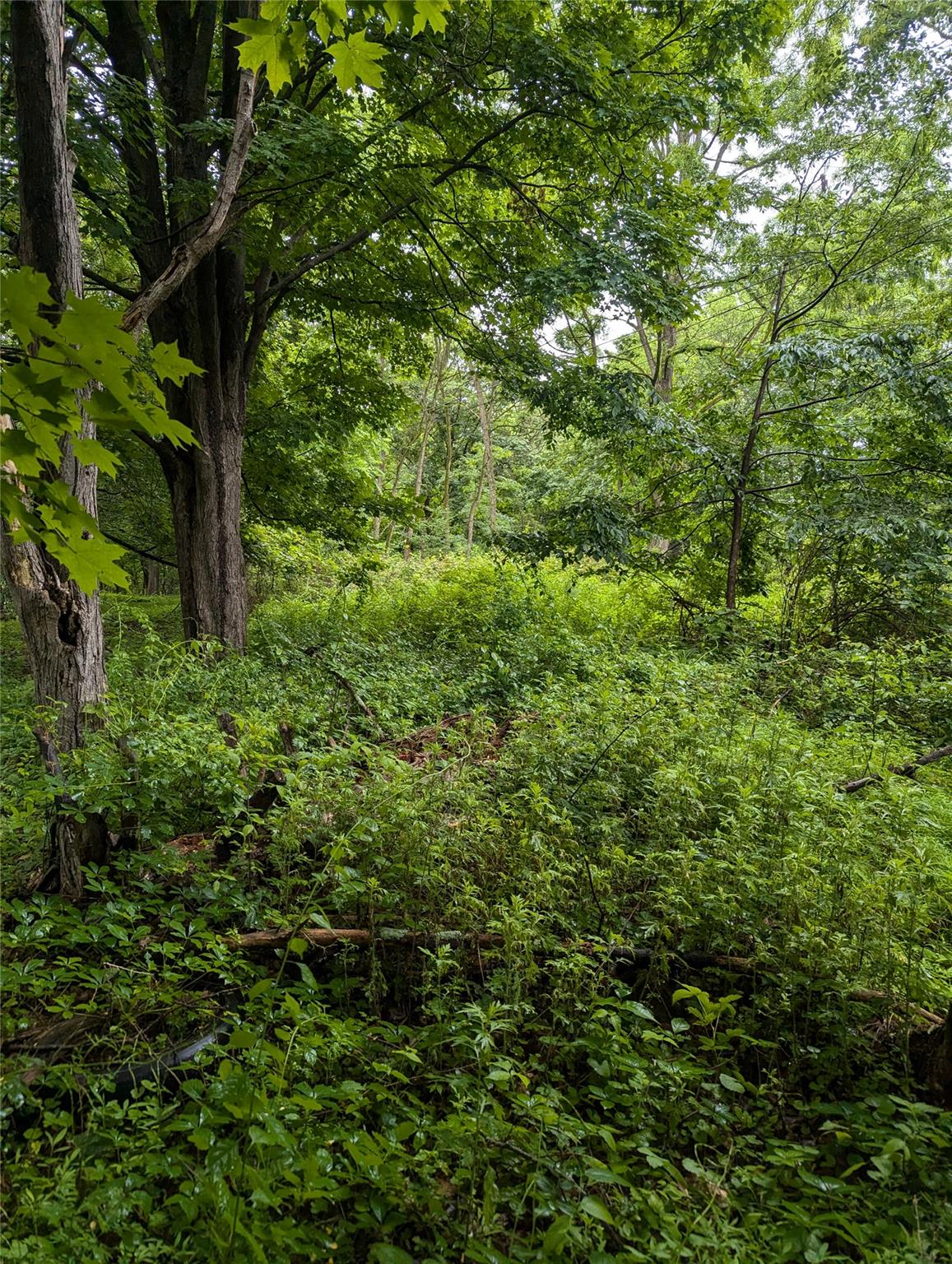 Cauterskill Out of NYC Catskill, NY 12414