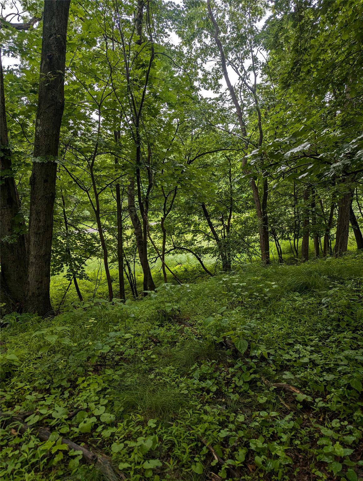 Cauterskill Out of NYC Catskill, NY 12414