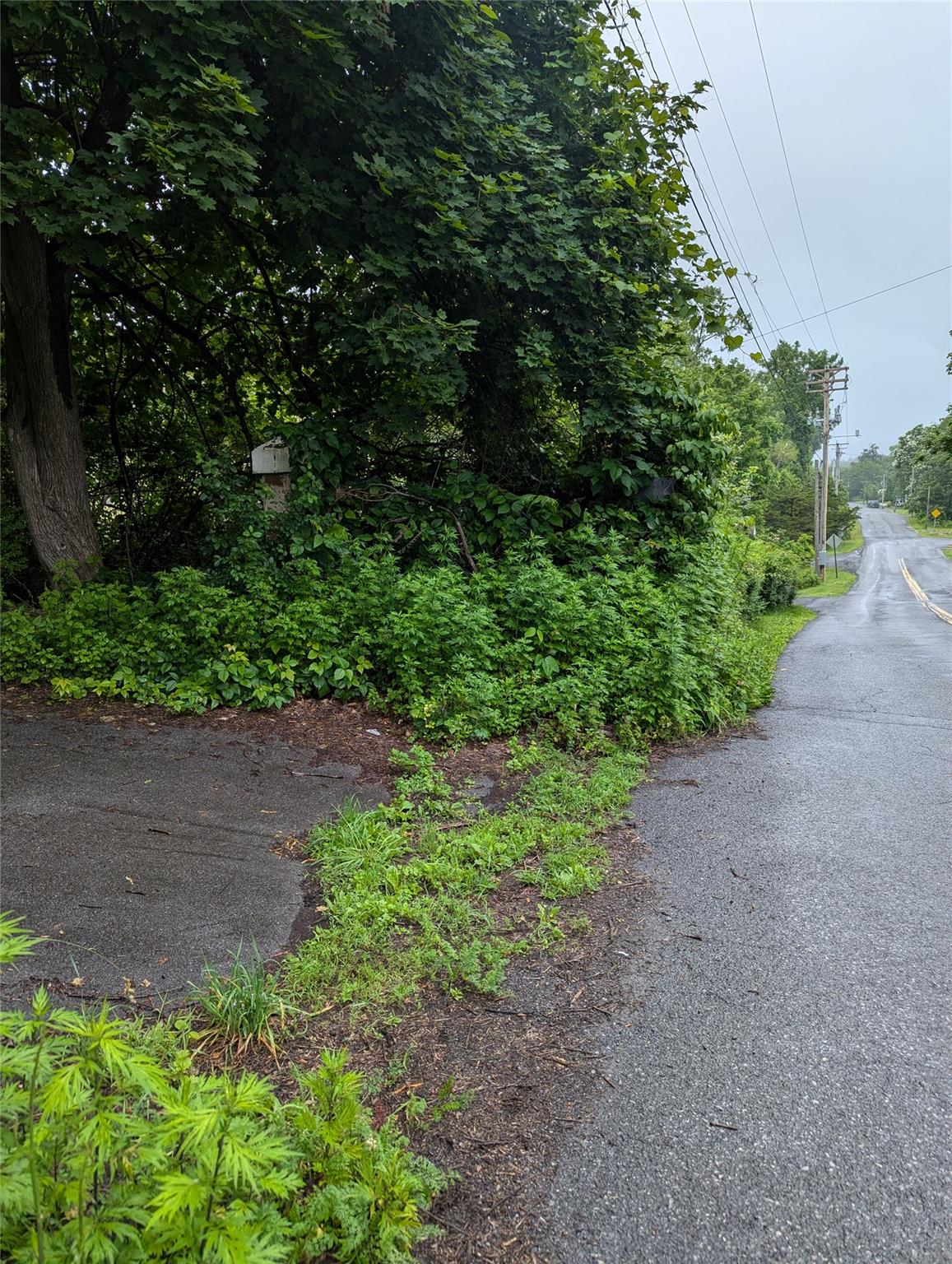 Cauterskill Out of NYC Catskill, NY 12414