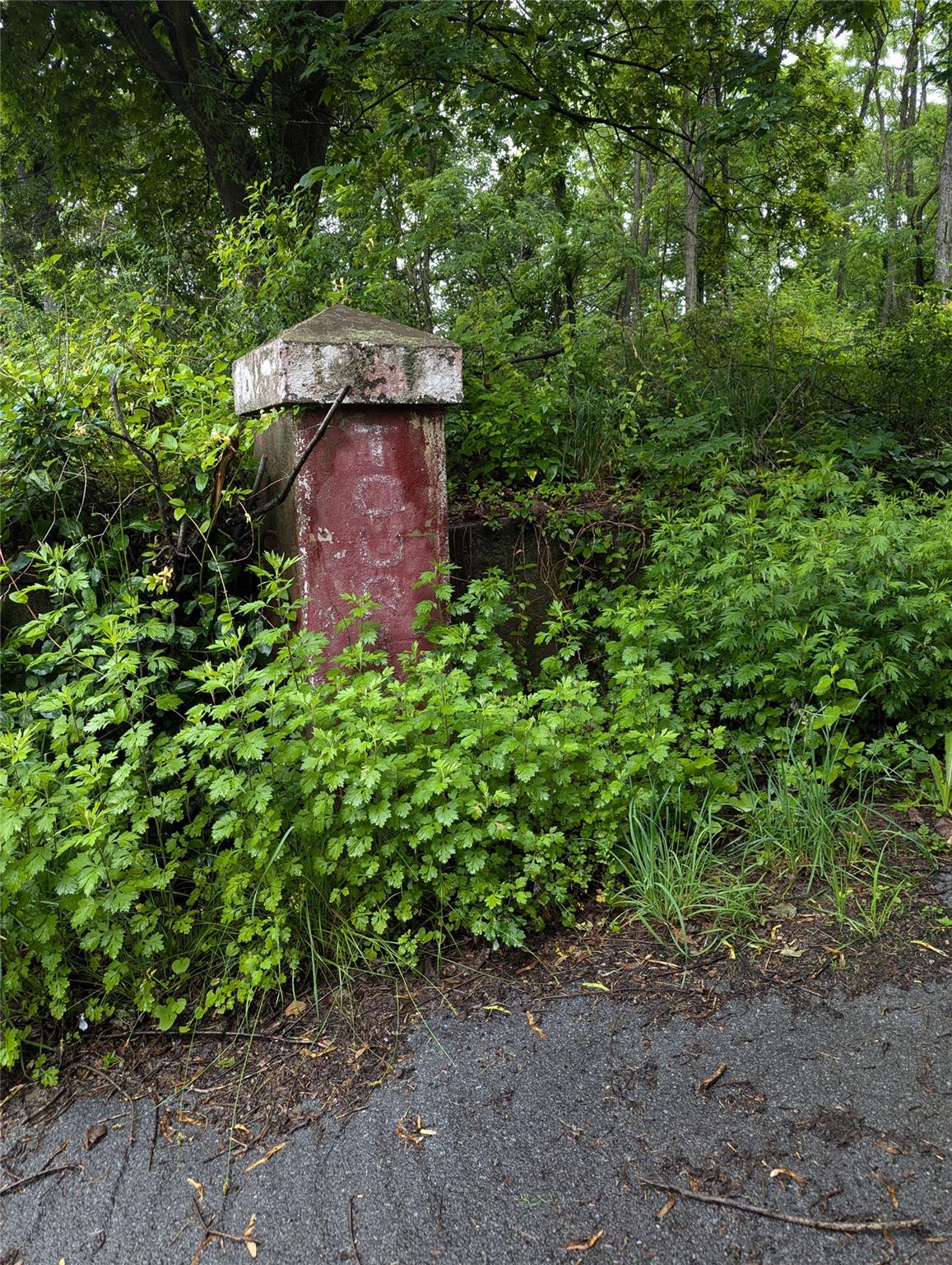 Cauterskill Out of NYC Catskill, NY 12414