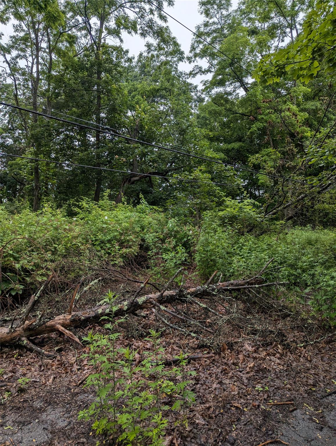 Cauterskill Out of NYC Catskill, NY 12414