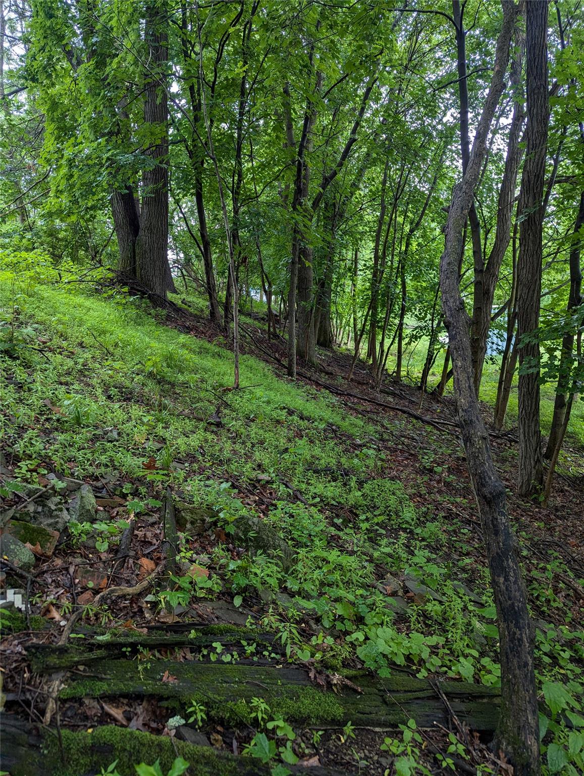 Cauterskill Out of NYC Catskill, NY 12414