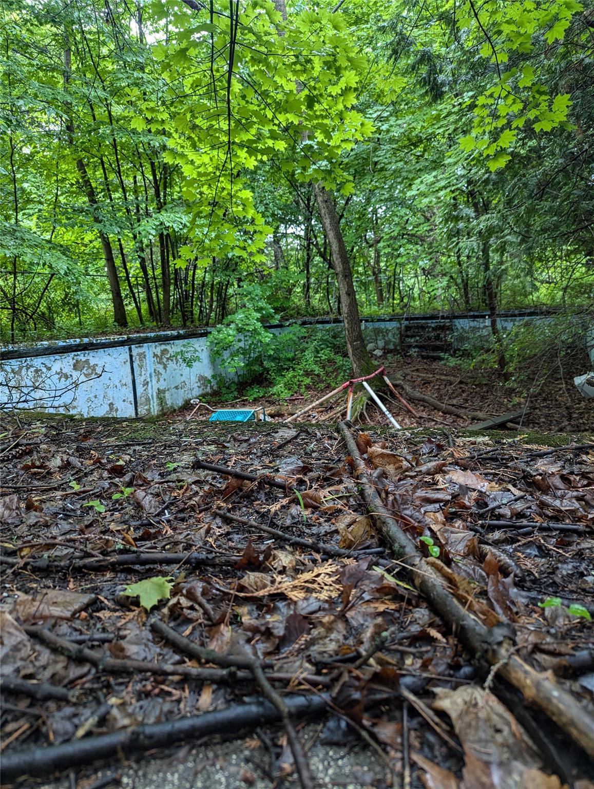 Cauterskill Out of NYC Catskill, NY 12414