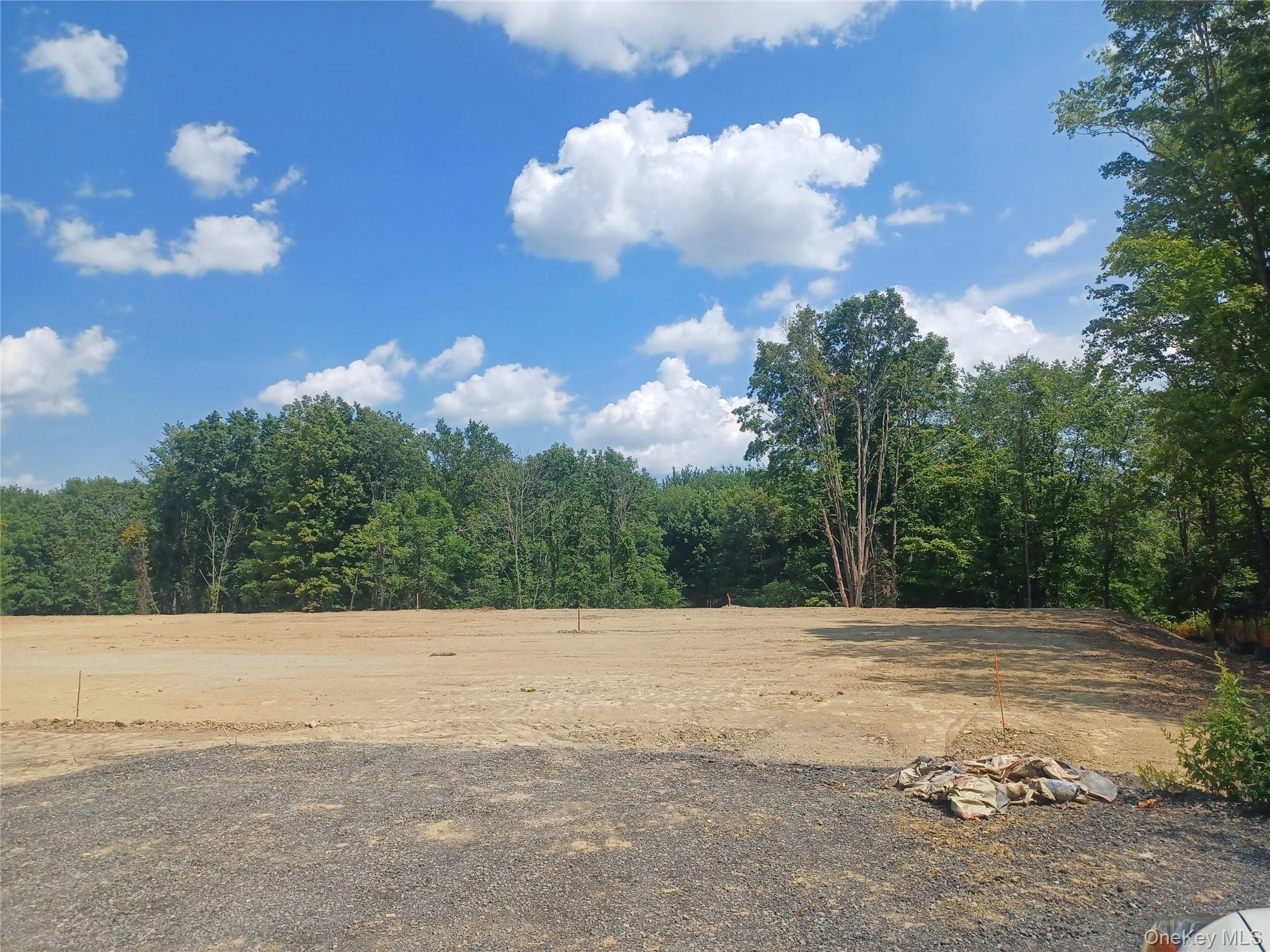 Ridge Road Out of NYC Montgomery, NY 12549