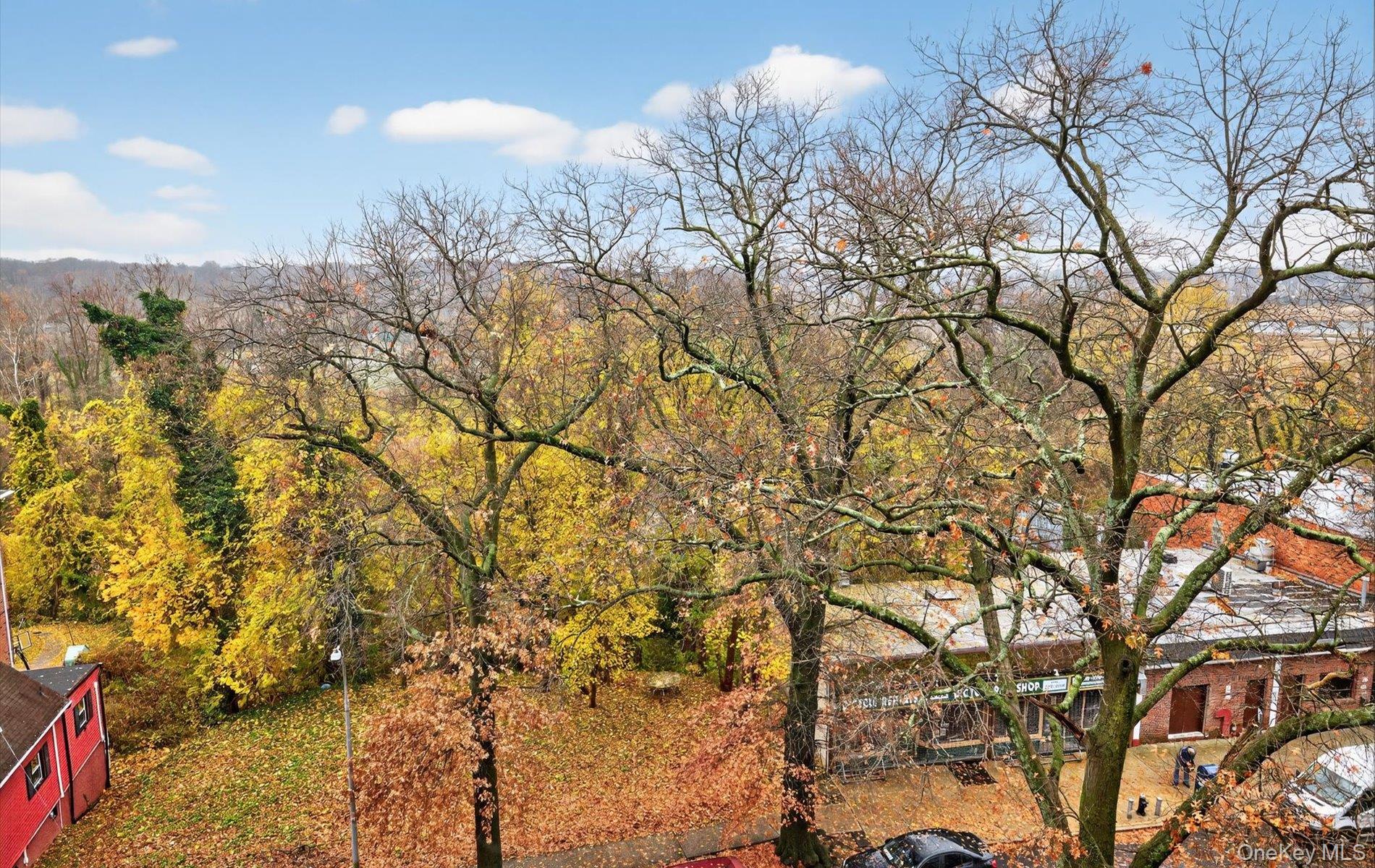 42-30 Douglaston Parkway 5-N Douglaston Douglaston, NY 11363