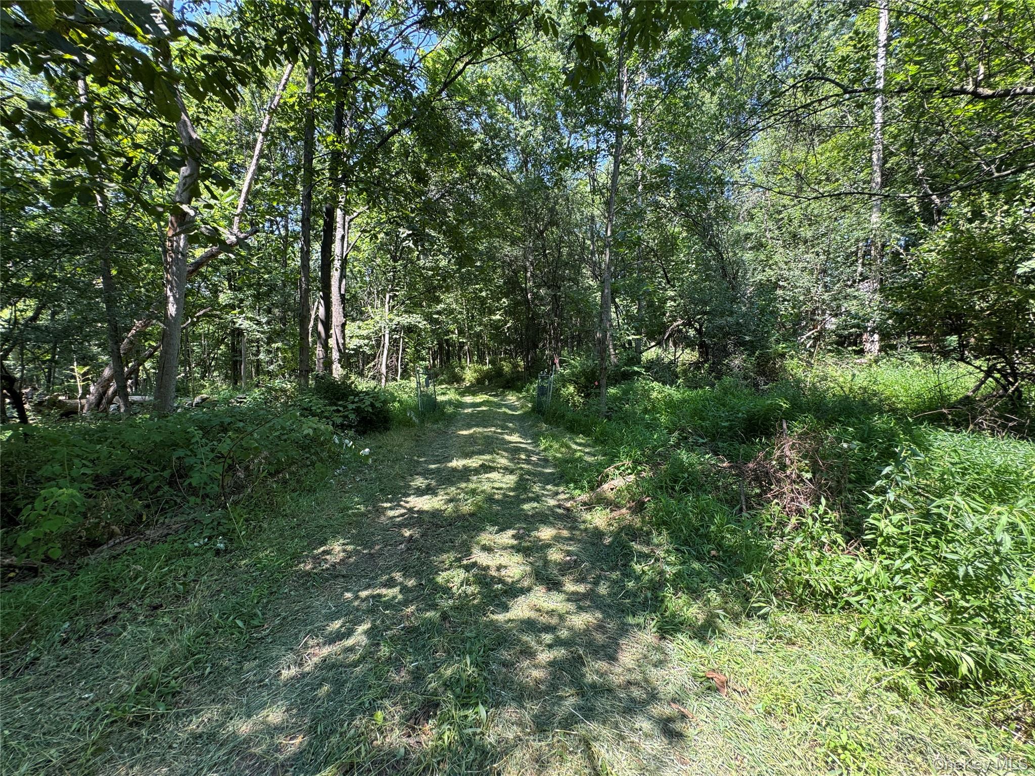 Rt-17 Out of NYC Goshen, NY 10940