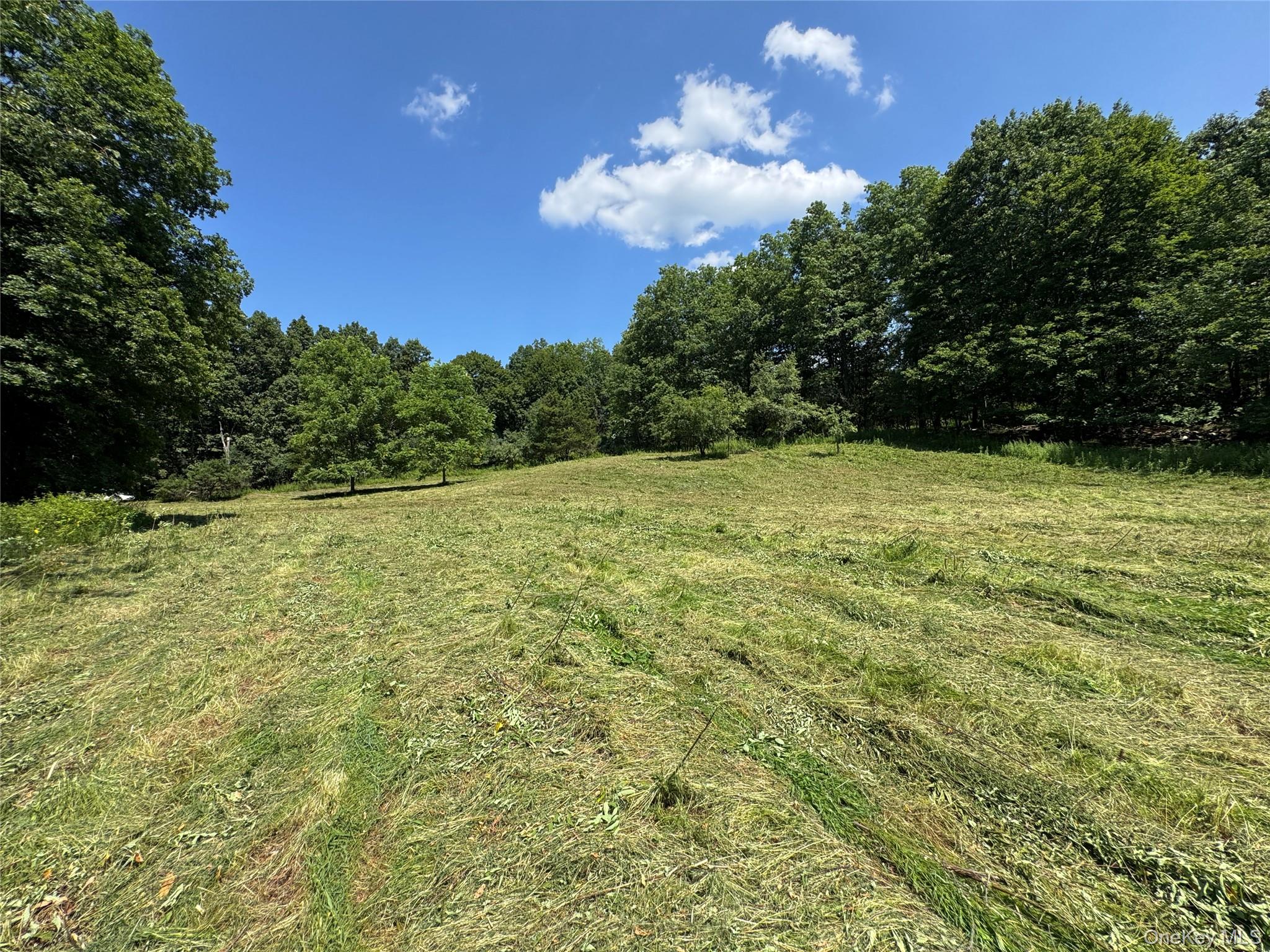 Rt-17 Out of NYC Goshen, NY 10940