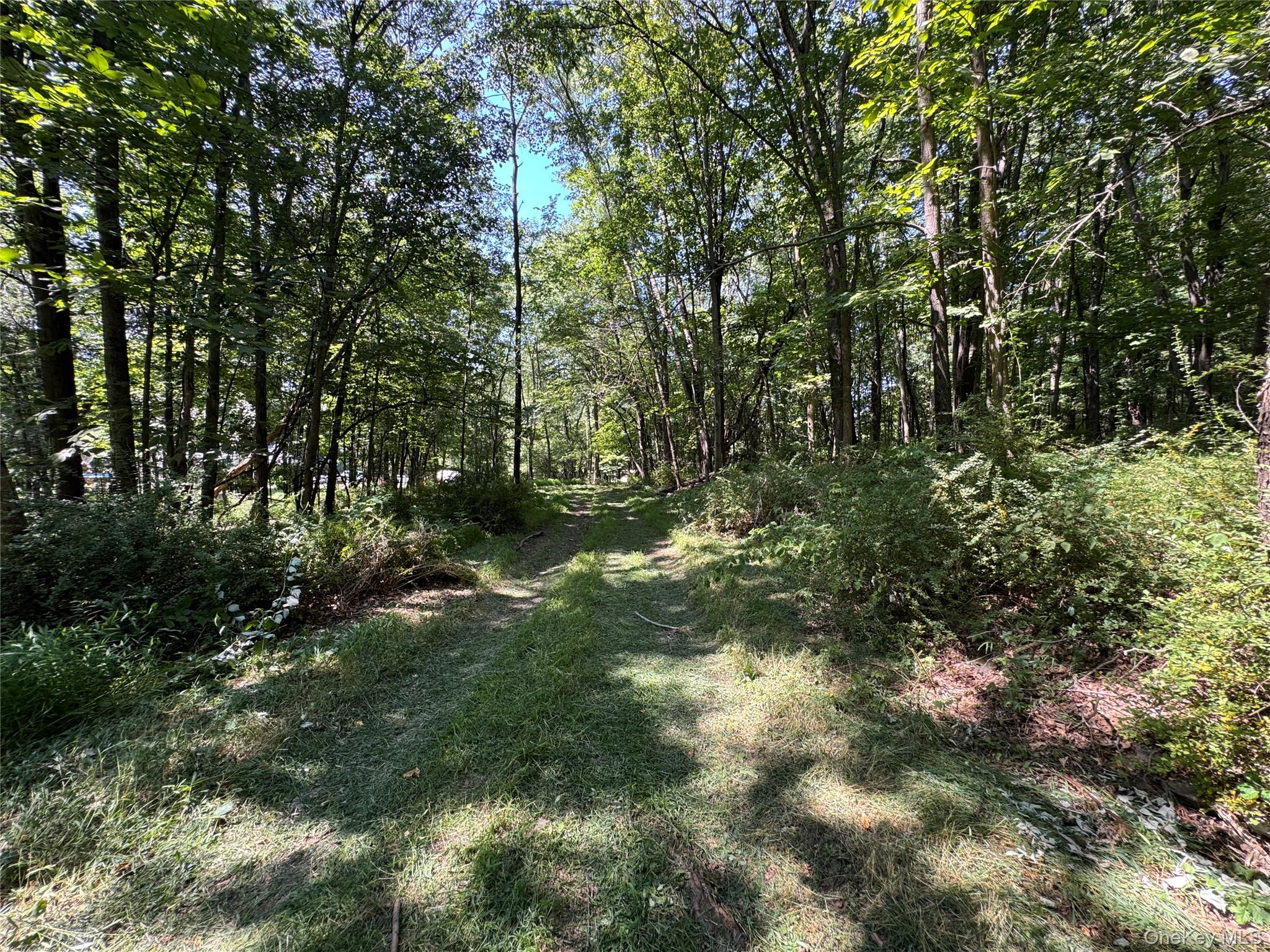 Rt-17 Out of NYC Goshen, NY 10940