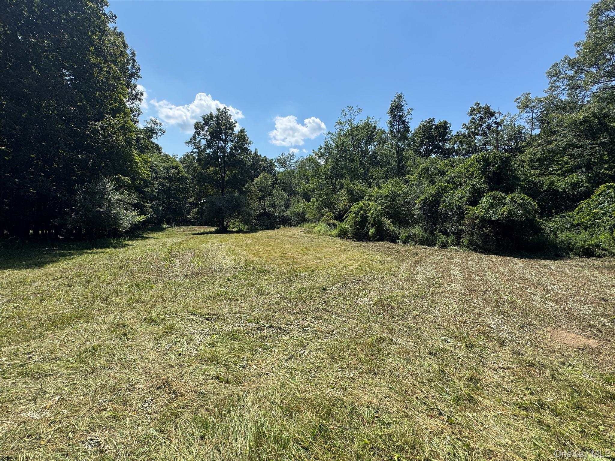 Rt-17 Out of NYC Goshen, NY 10940