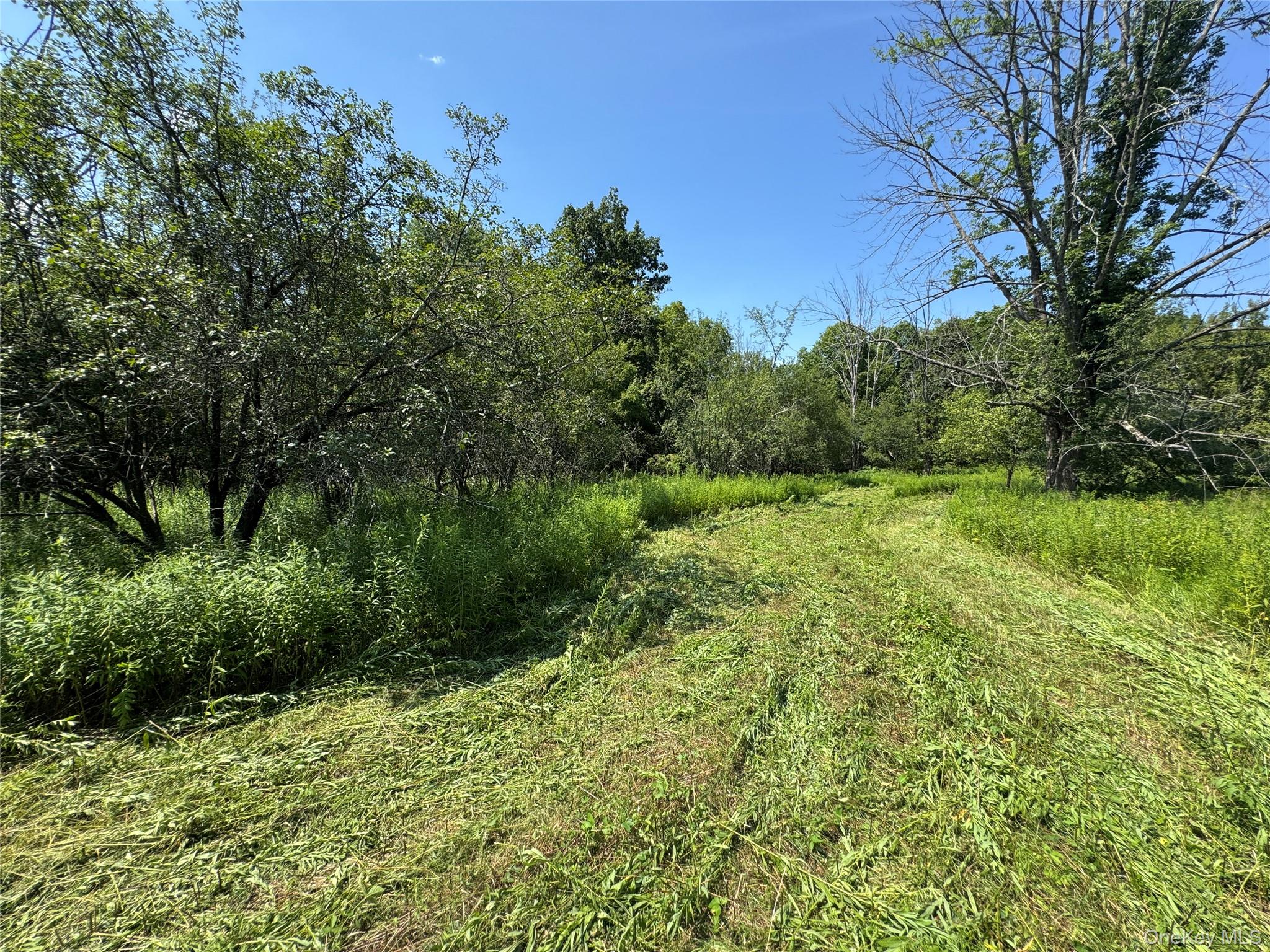 Rt-17 Out of NYC Goshen, NY 10940