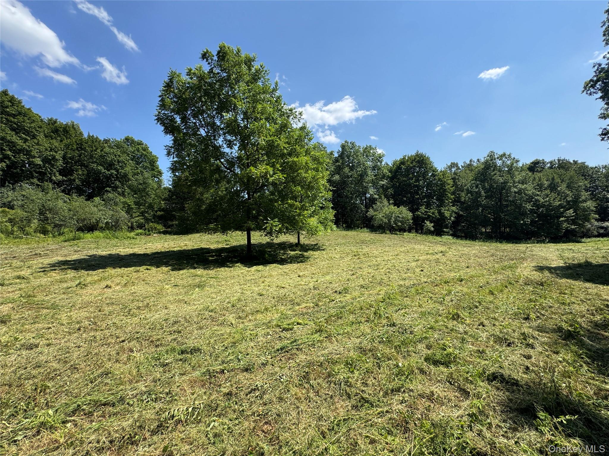 Rt-17 Out of NYC Goshen, NY 10940