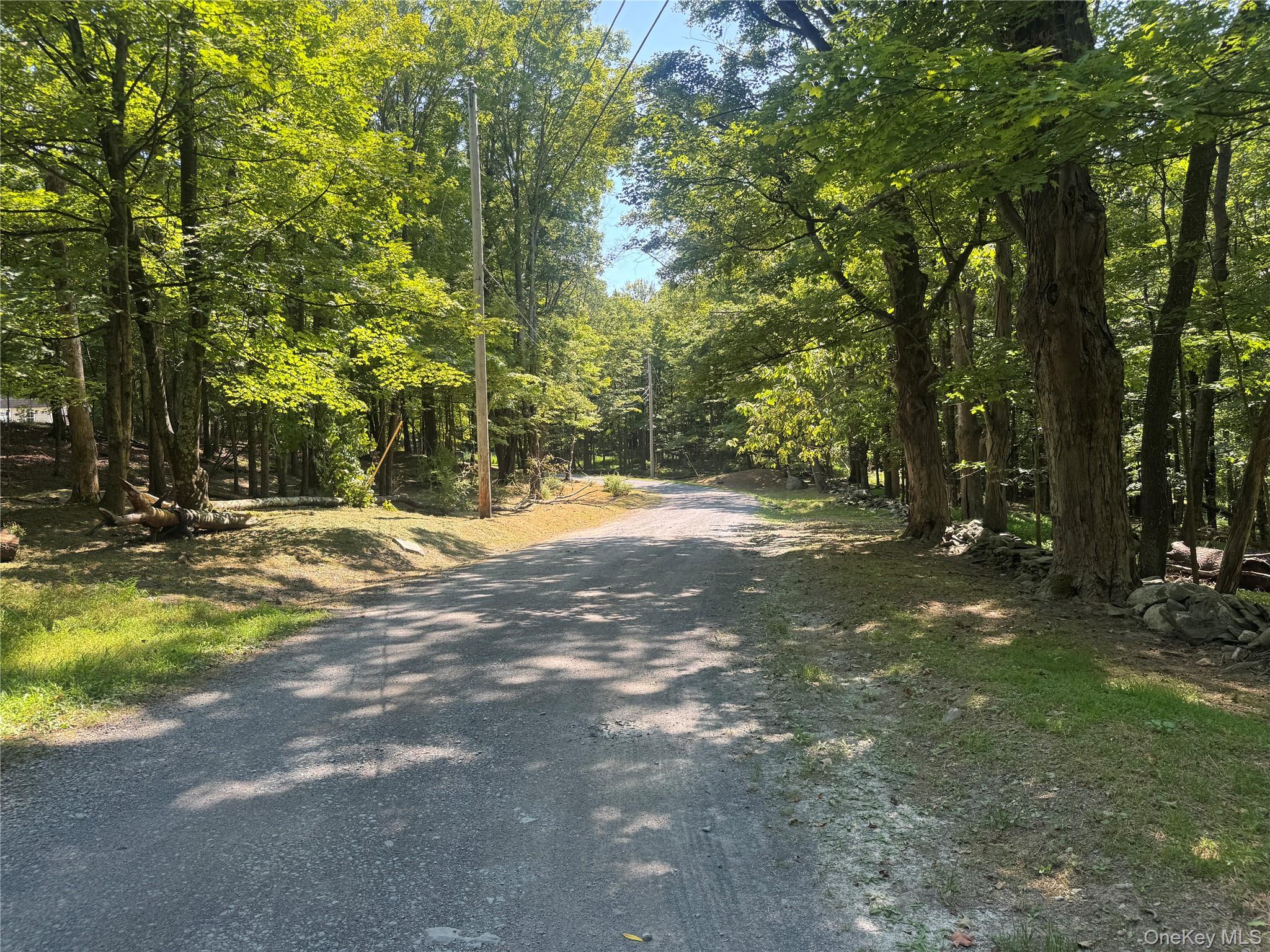 Rt-17 Out of NYC Goshen, NY 10940