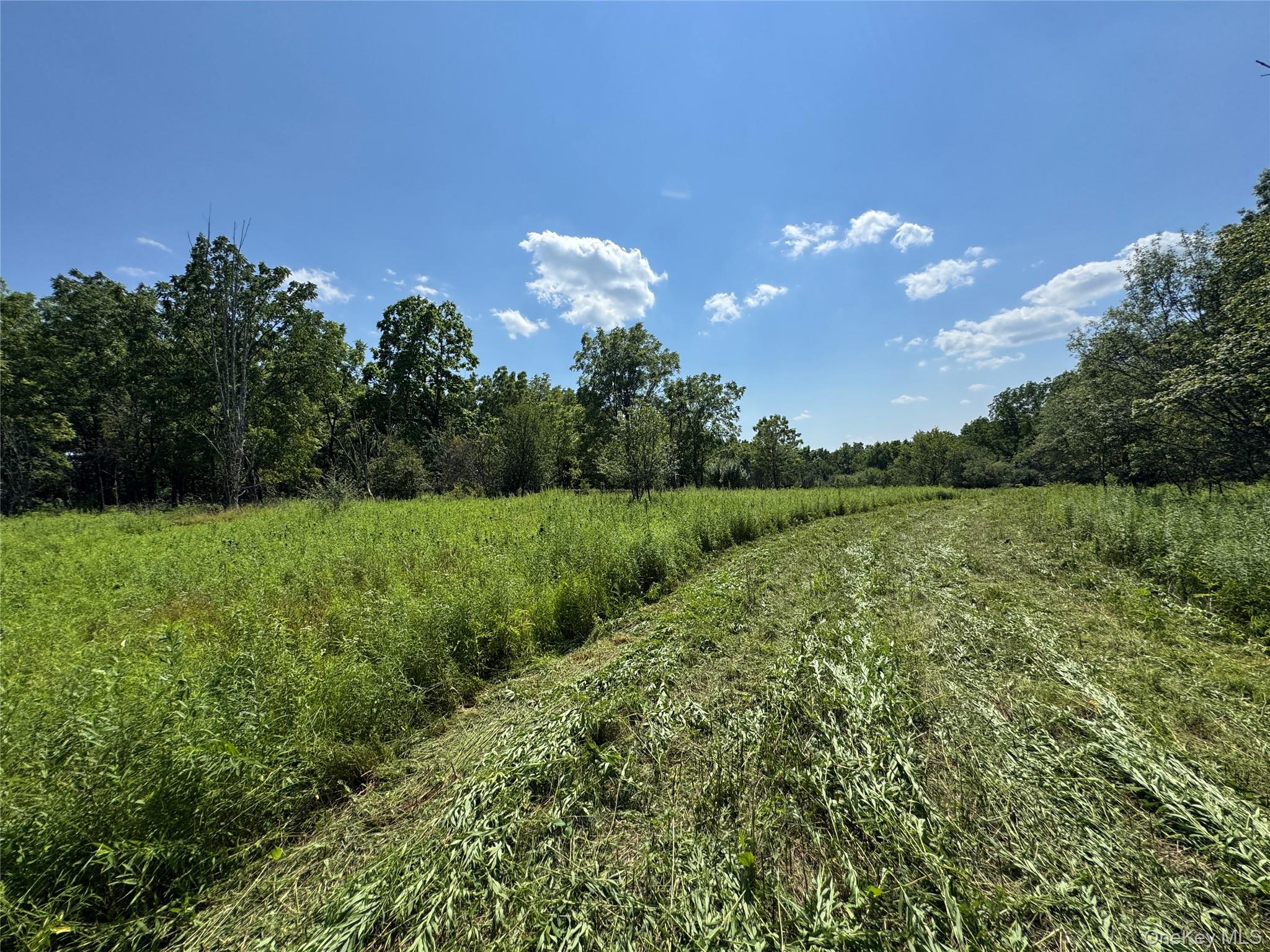 Rt-17 Out of NYC Goshen, NY 10940