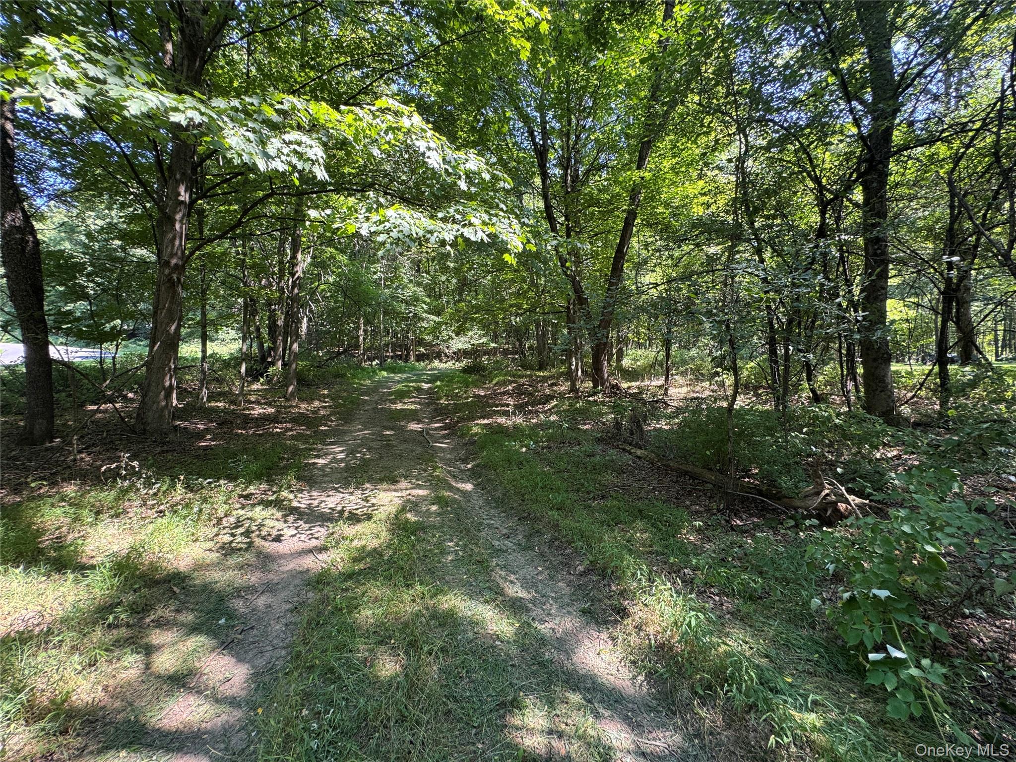 Rt-17 Out of NYC Goshen, NY 10940