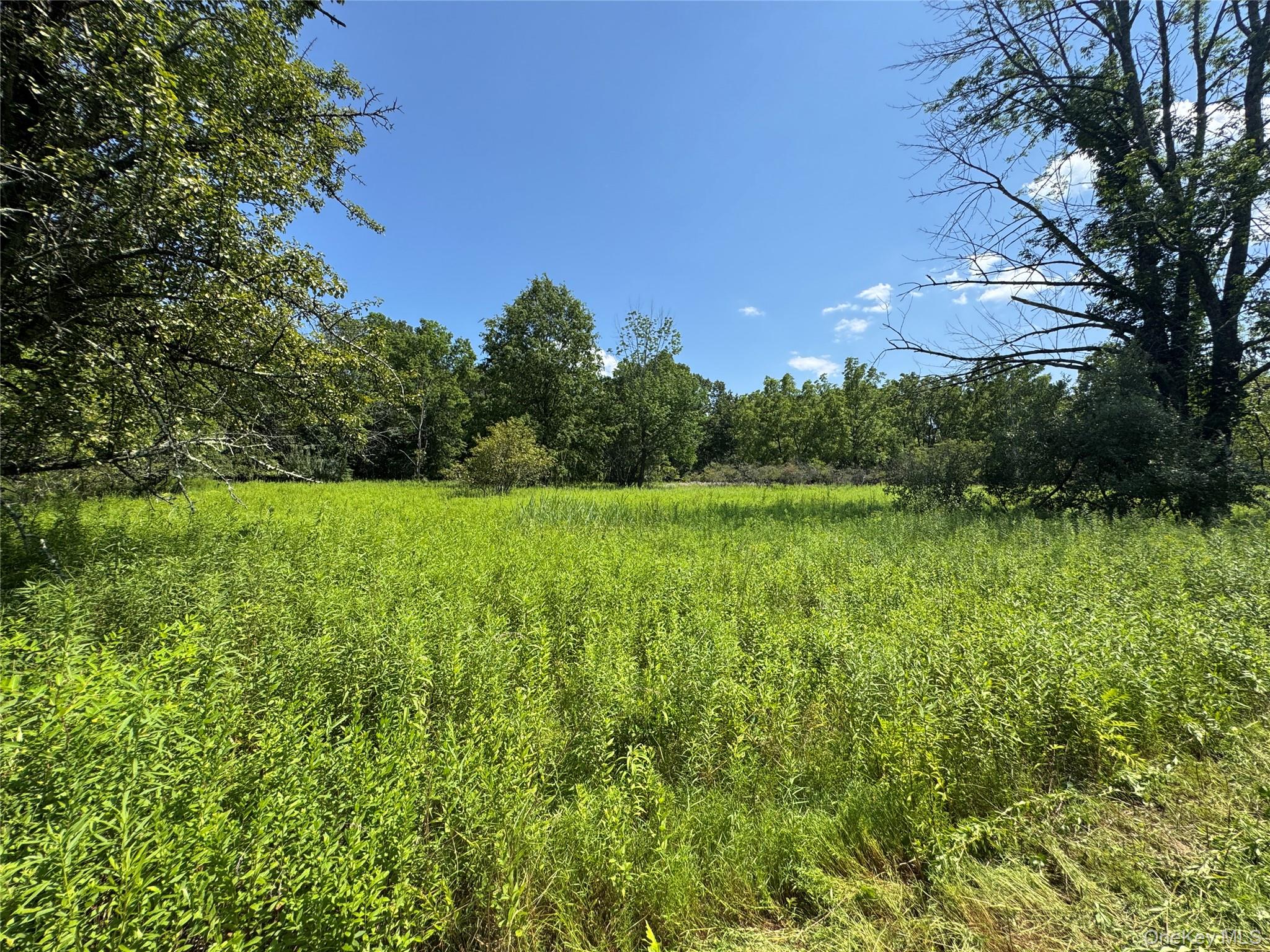 Rt-17 Out of NYC Goshen, NY 10940