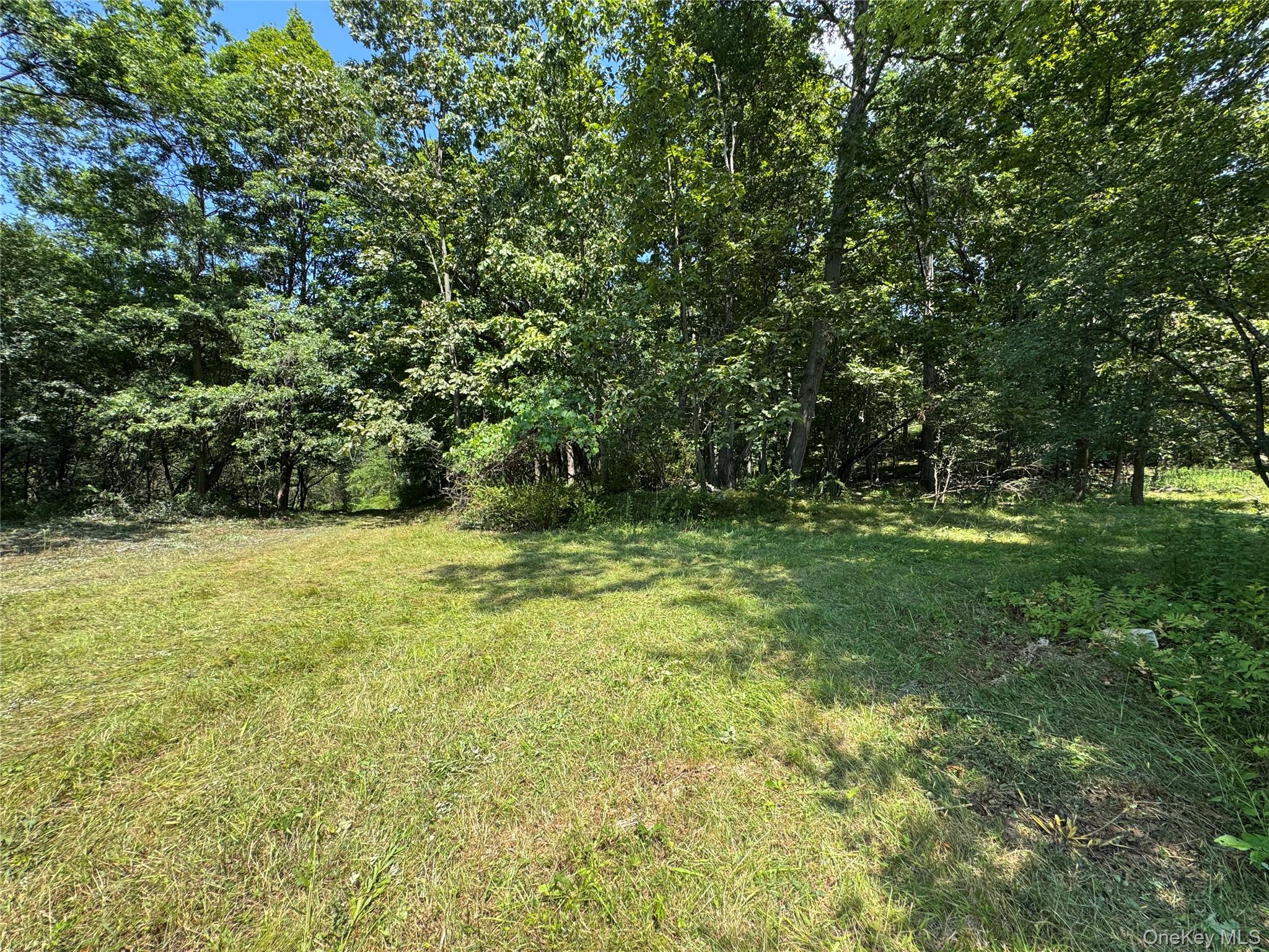 Rt-17 Out of NYC Goshen, NY 10940