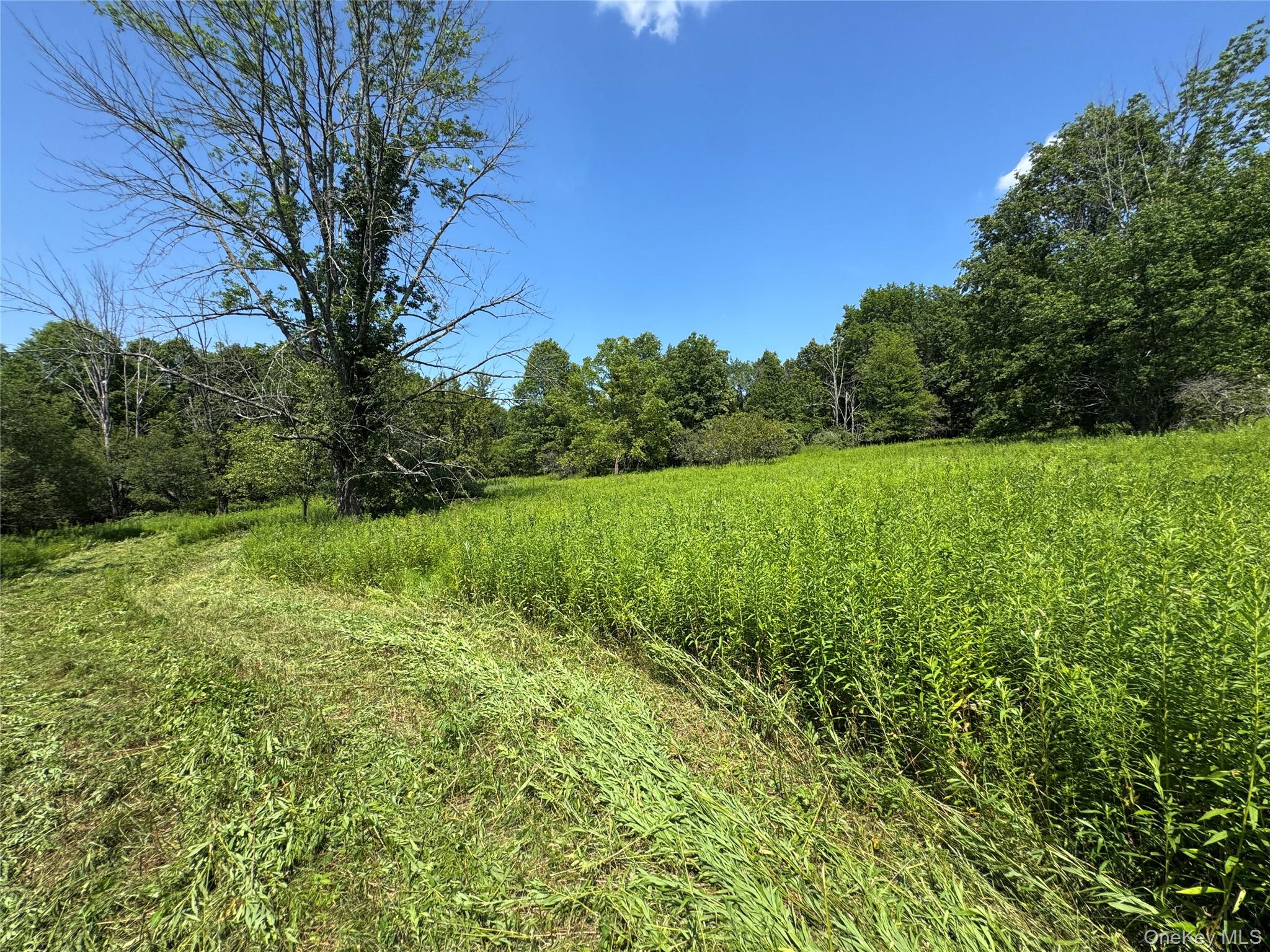 Rt-17 Out of NYC Goshen, NY 10940