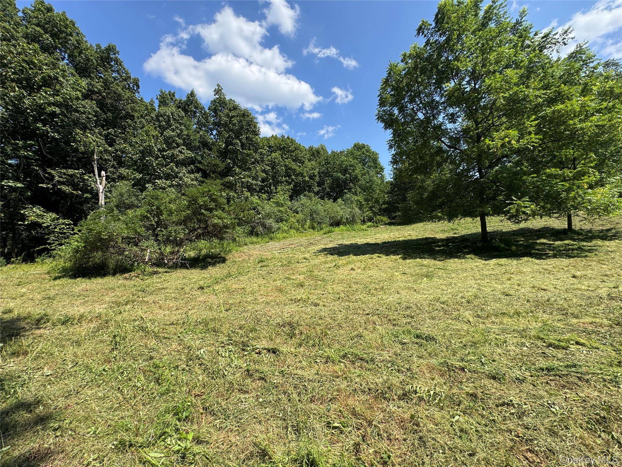 Rt-17 Out of NYC Goshen, NY 10940