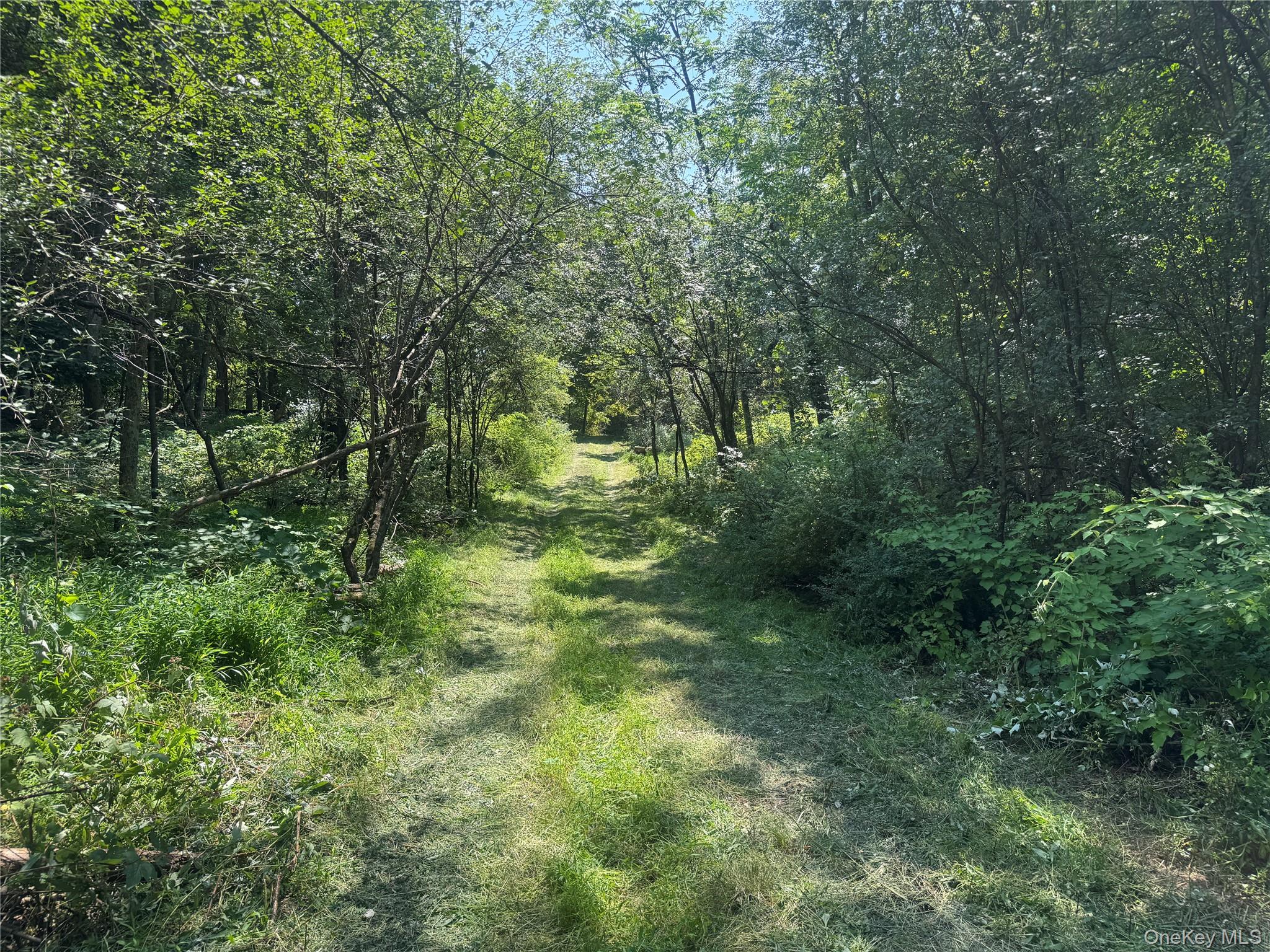 Rt-17 Out of NYC Goshen, NY 10940