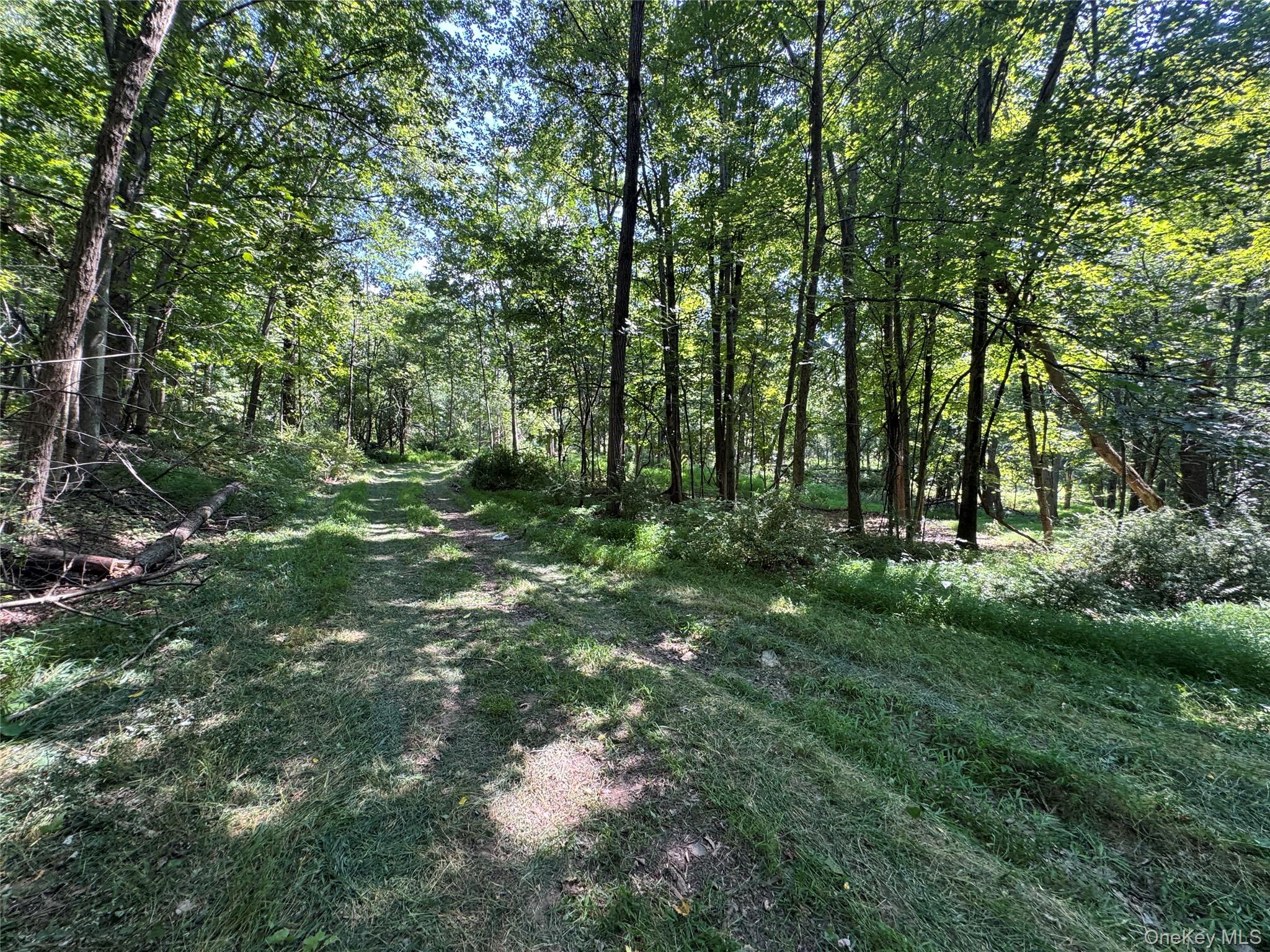 Rt-17 Out of NYC Goshen, NY 10940