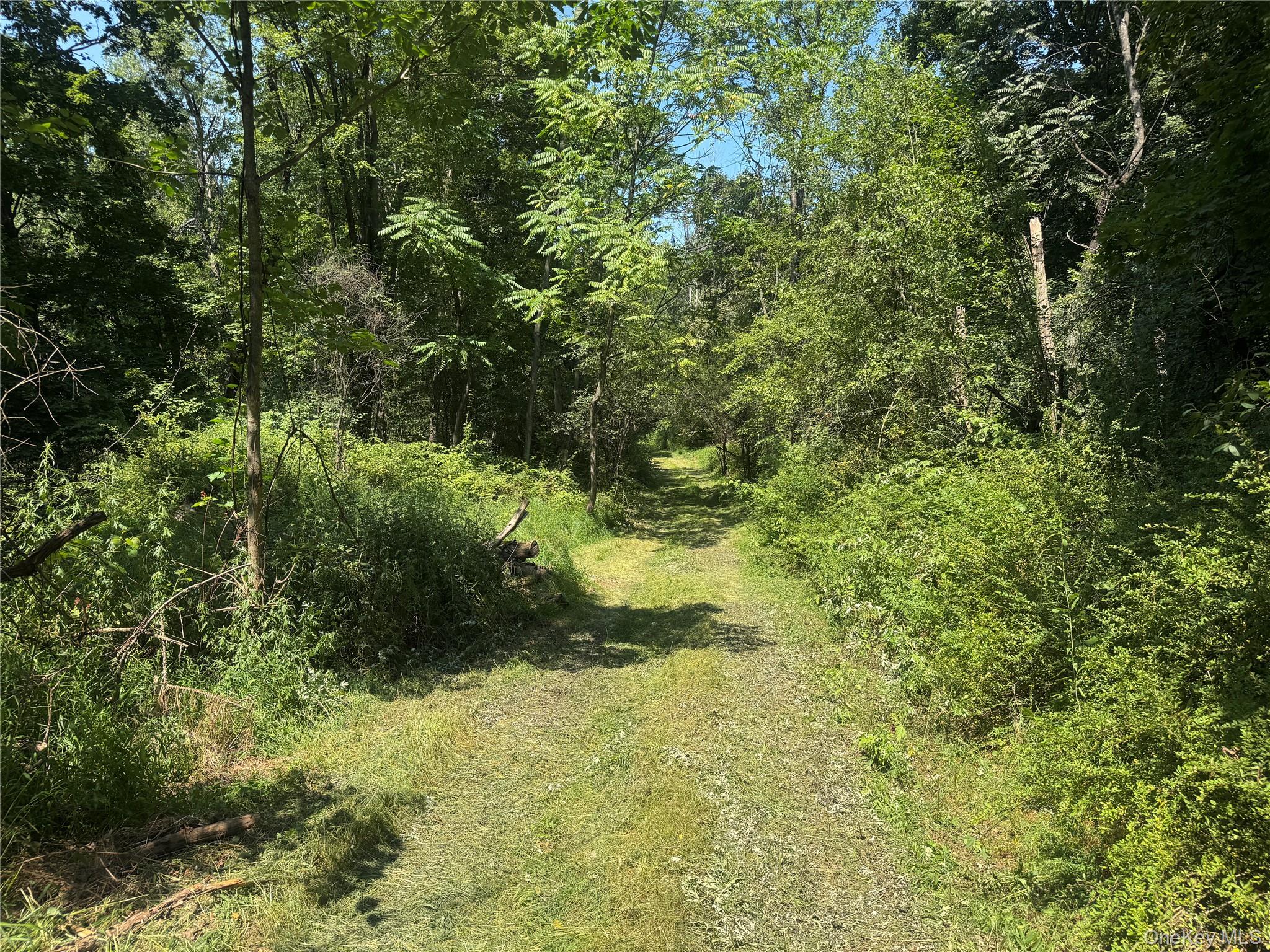 Rt-17 Out of NYC Goshen, NY 10940