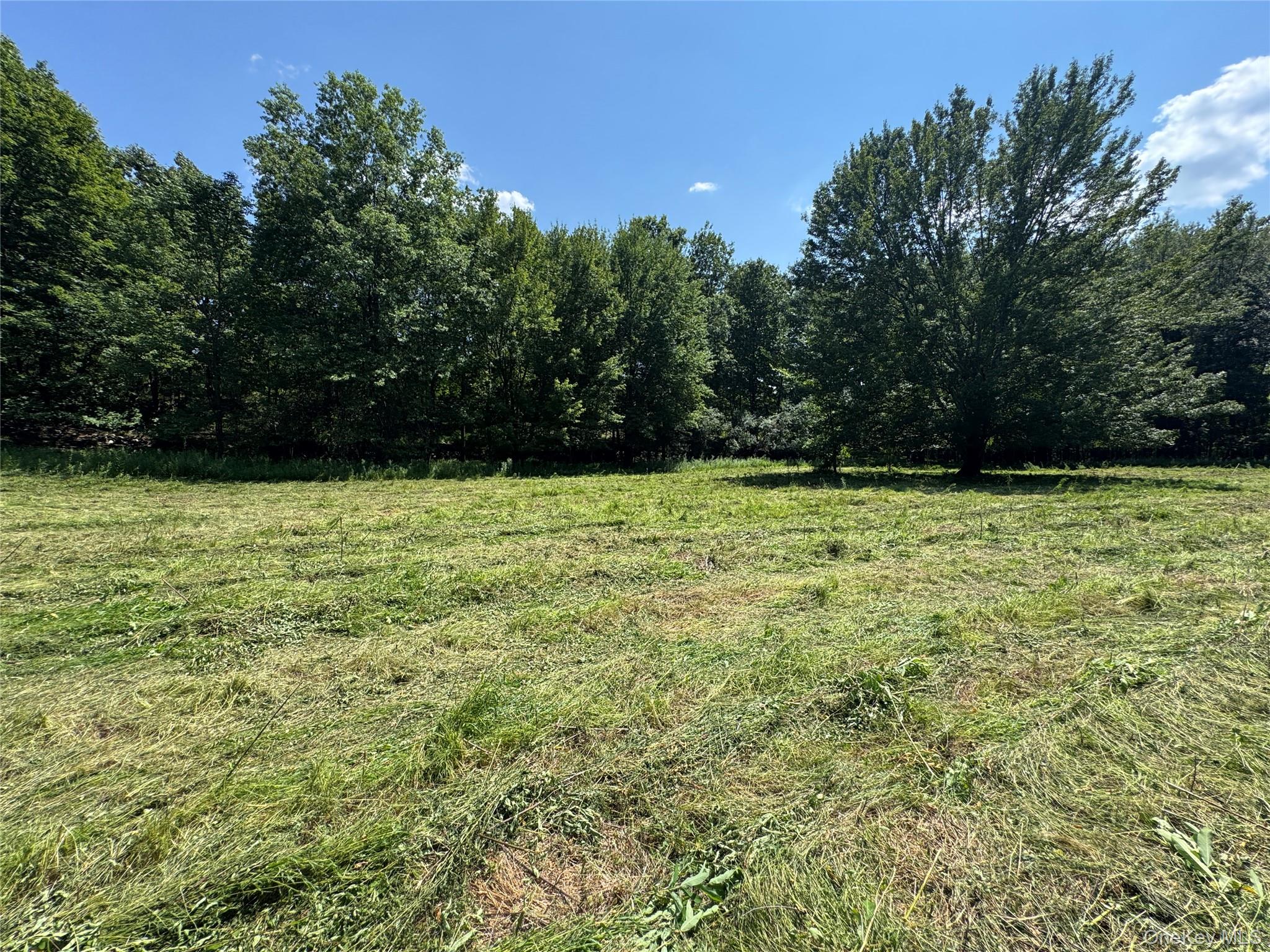 Rt-17 Out of NYC Goshen, NY 10940