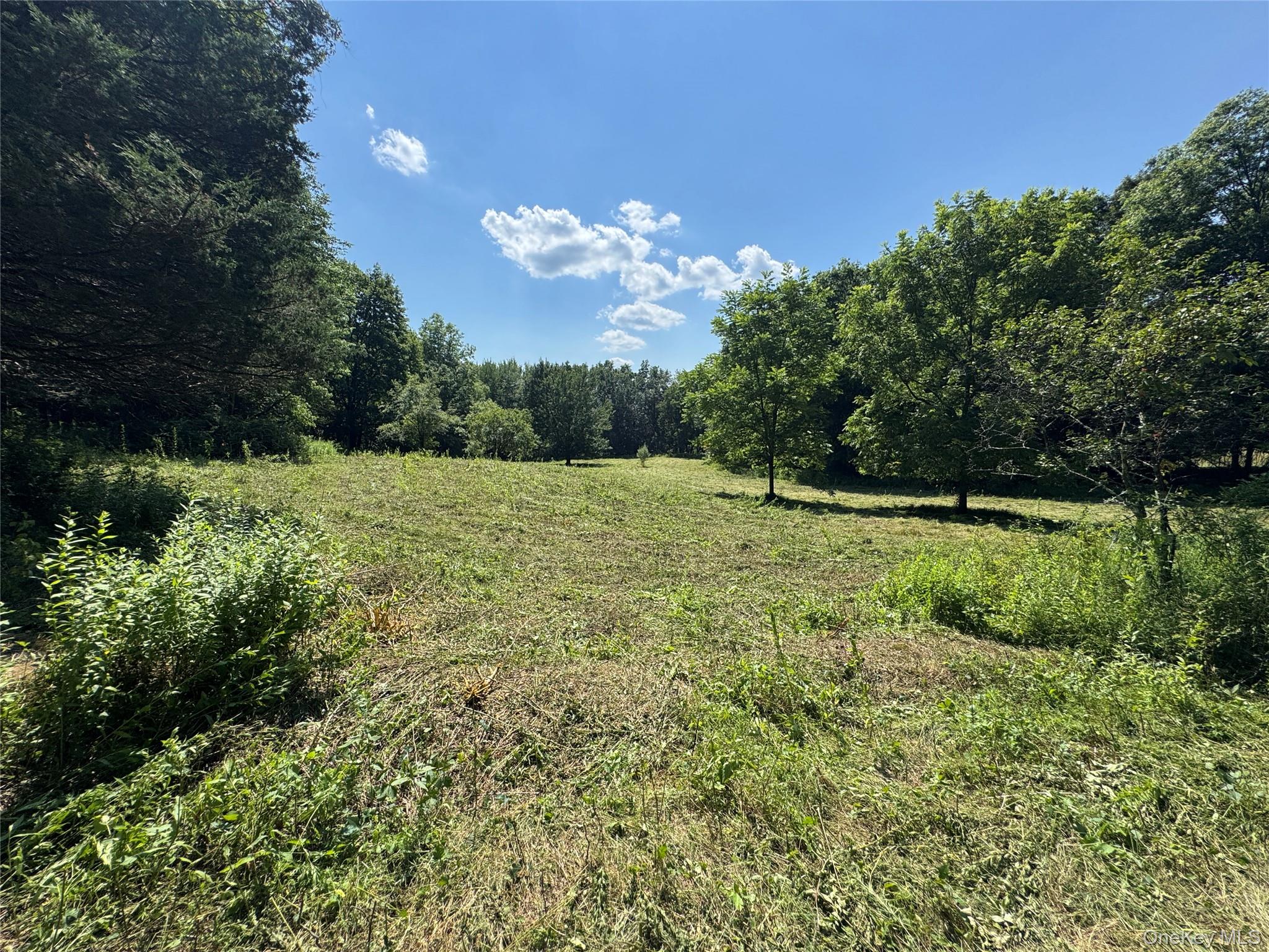 Rt-17 Out of NYC Goshen, NY 10940